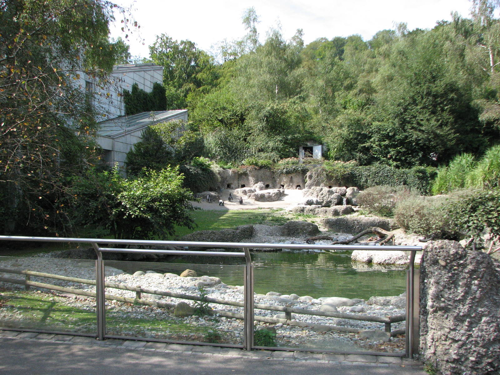 Zürich Zoo 2006 - Front of Penguin exhibit