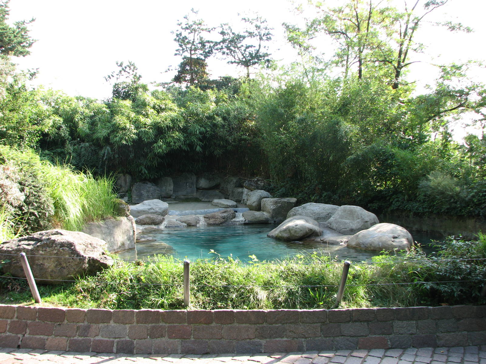 Zürich Zoo 2006 - Front of the Common Seal exhibit