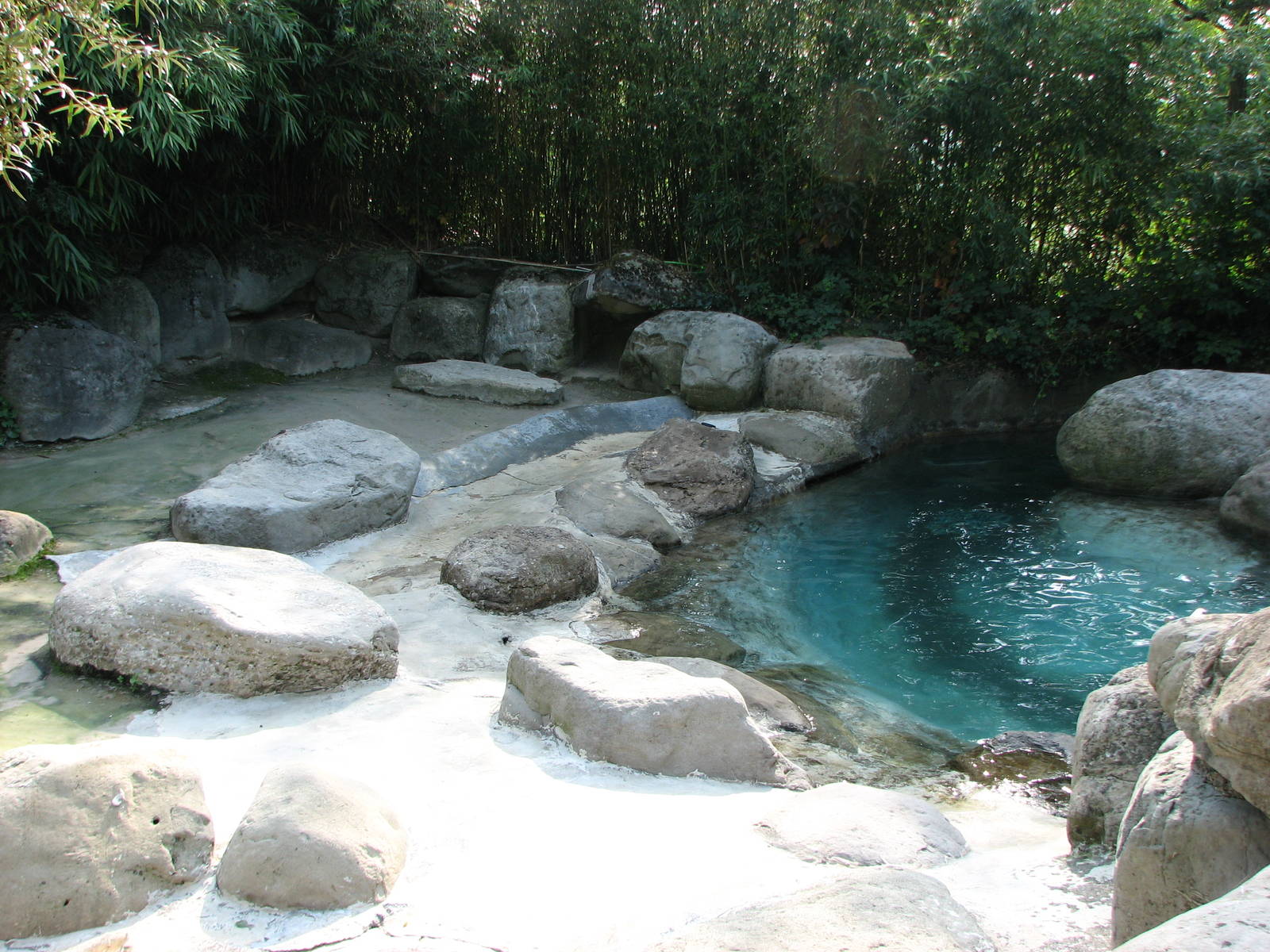 Zürich Zoo 2006 - Inside the Common Seal exhibit