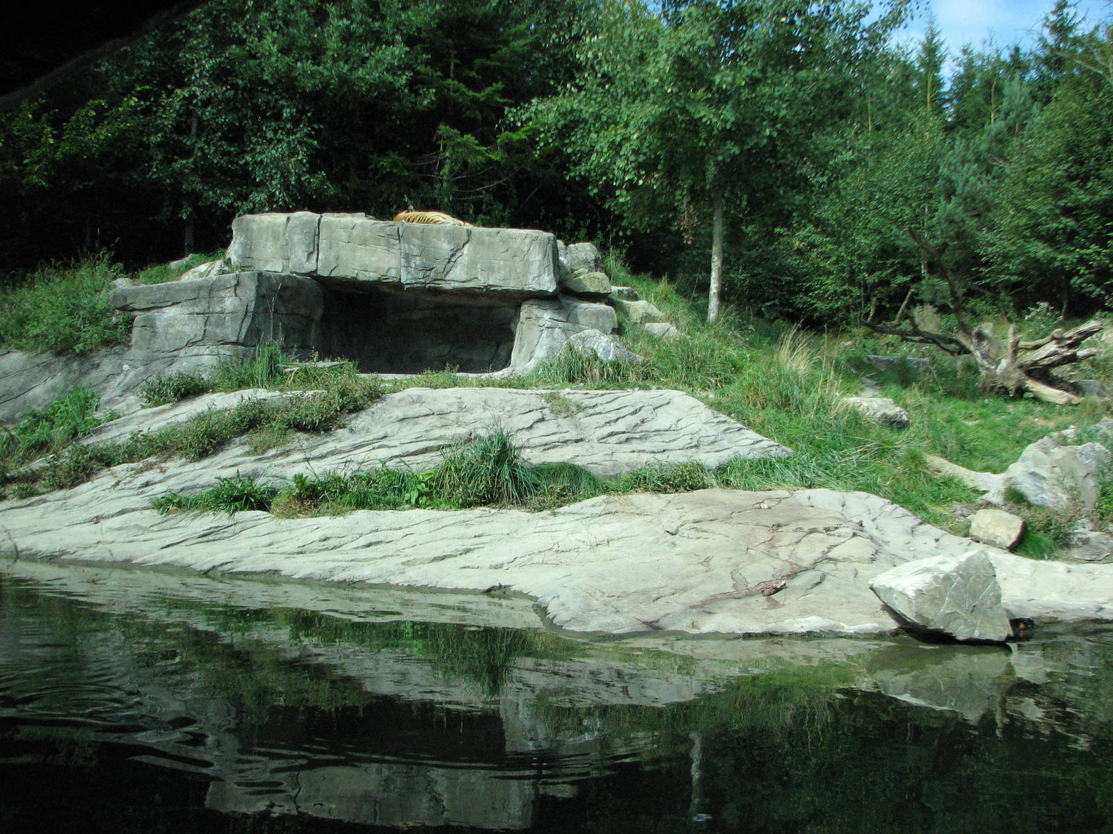 Zürich Zoo 2006 - Siberian Tiger exhibit