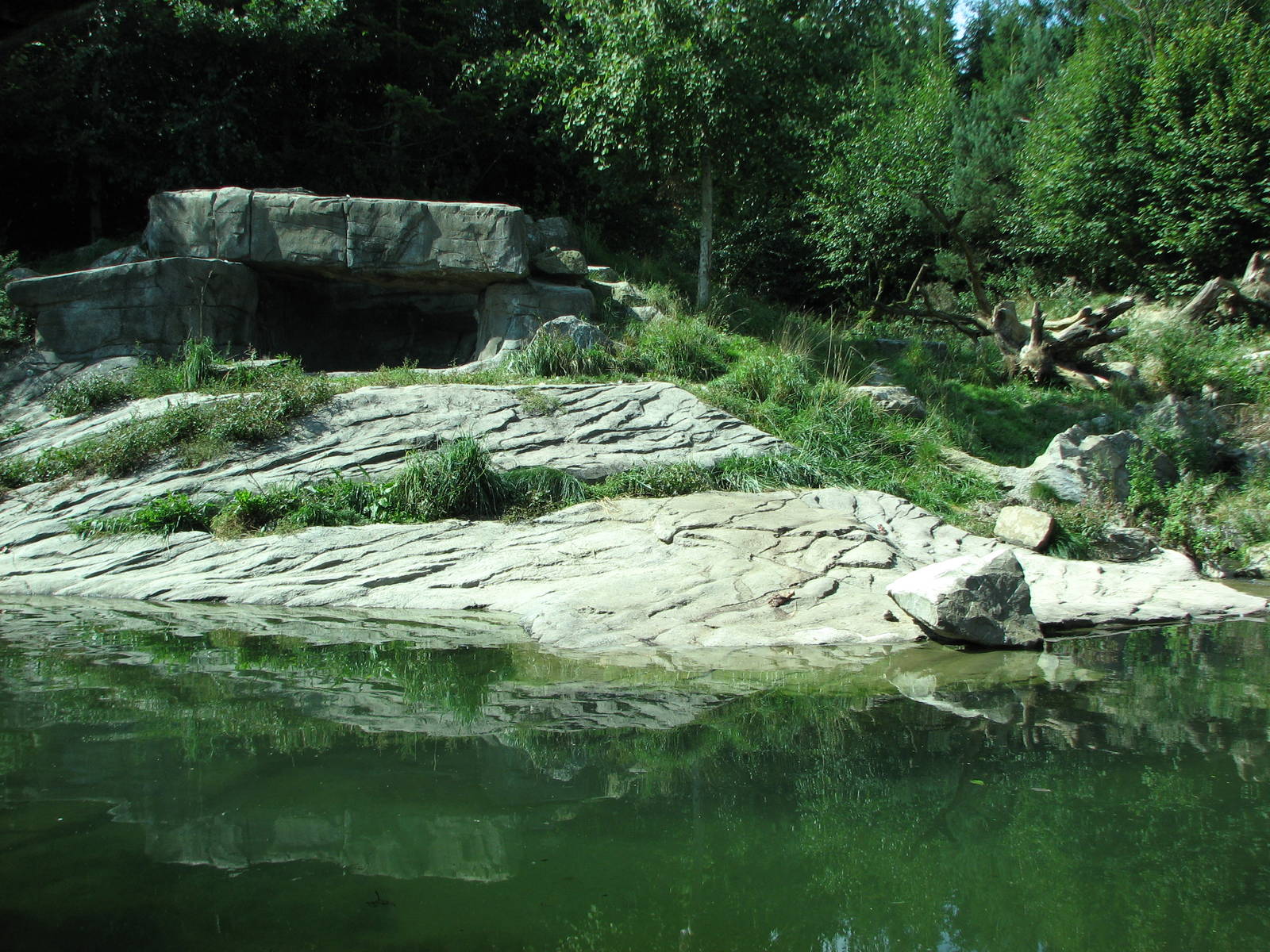 Zürich Zoo 2006 - Siberian Tiger exhibit