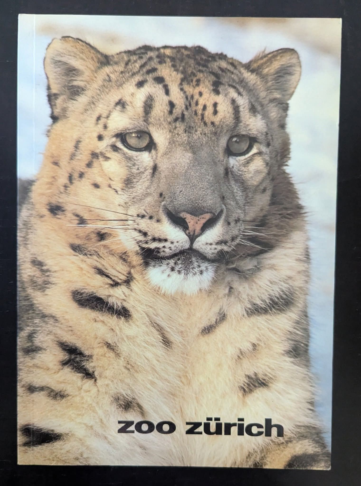 Zurich Zoo Guide Book