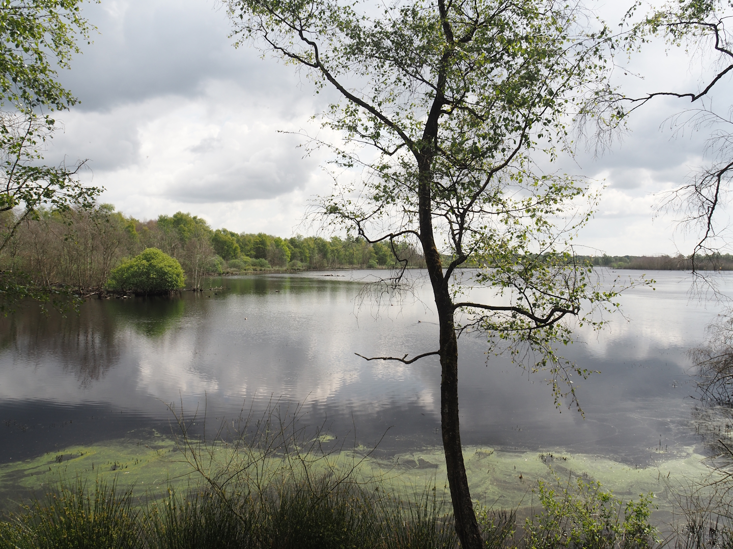 Zwillbrocker Venn, 2025-05-26