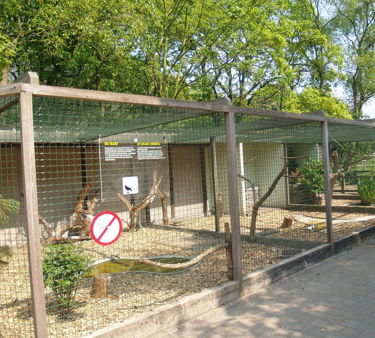 Zwin Bird Park (Now closed and demolished) - Corvid aviaries, 2007-04-22