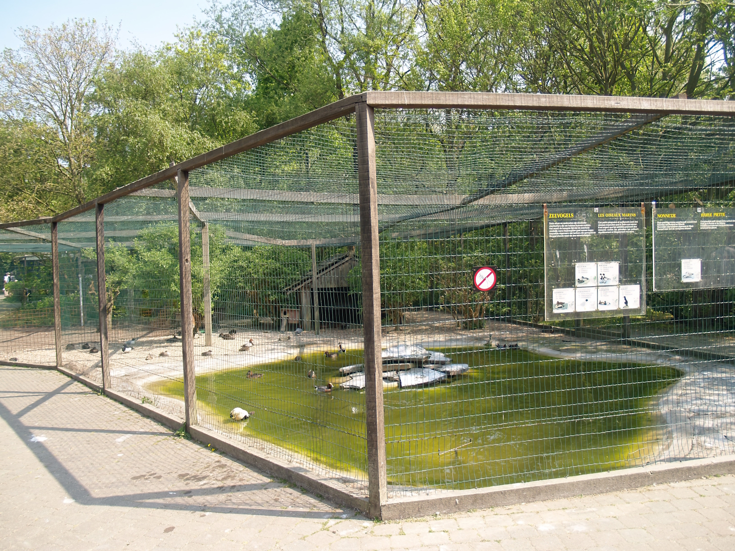 Zwin Bird Park (Now closed and demolished) - Duck and seabird aviary, 2007-04-22