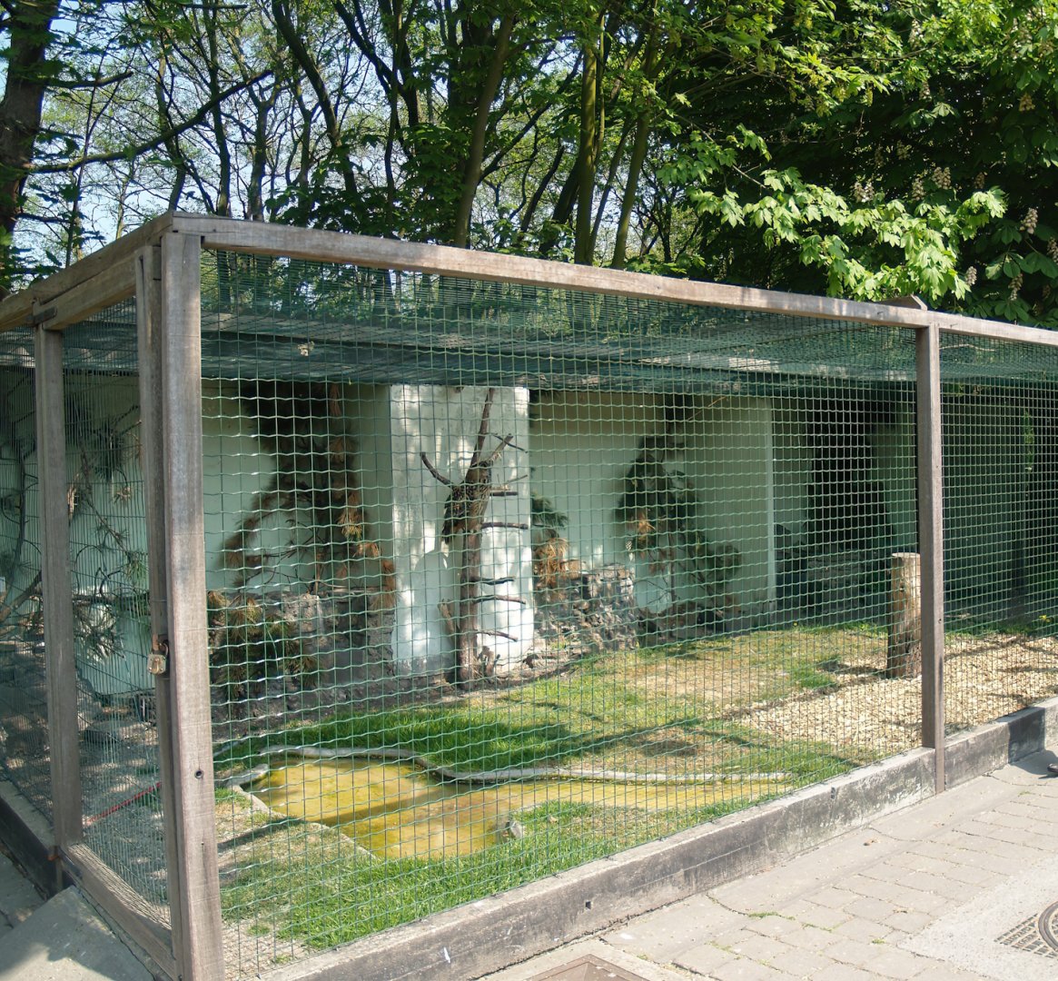 Zwin Bird Park (Now closed and demolished) - Eurasian eagle owl aviary, 2007-04-22