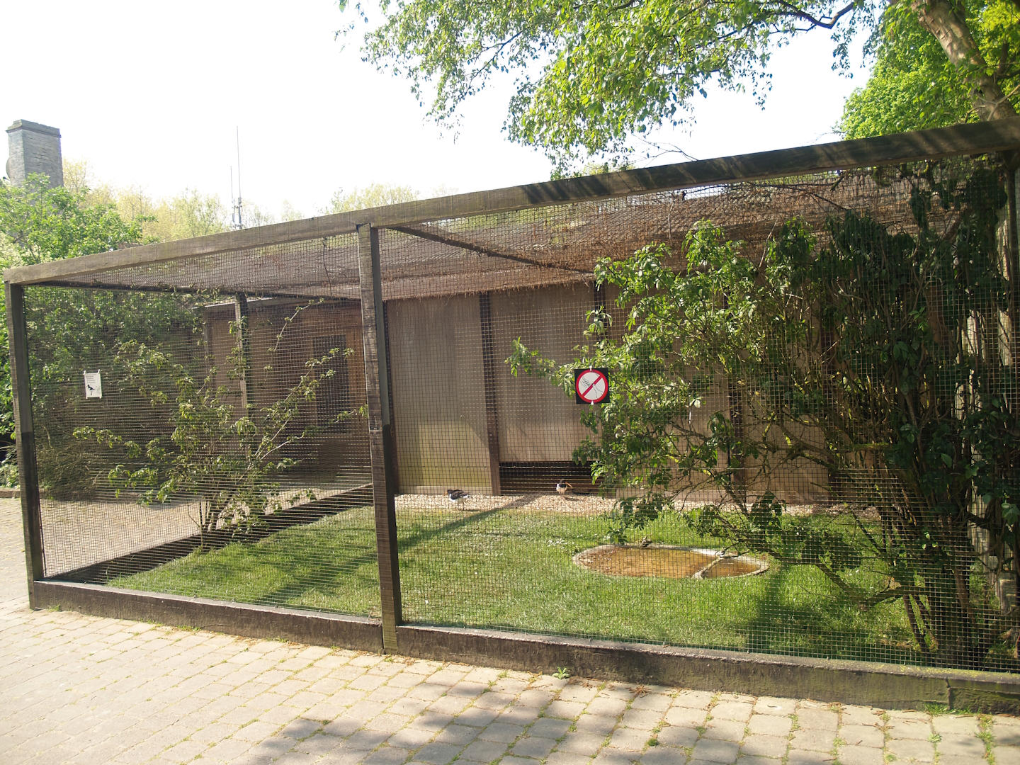 Zwin Bird Park (Now closed and demolished) - Eurasian oystercatcher aviary, 2007-04-22