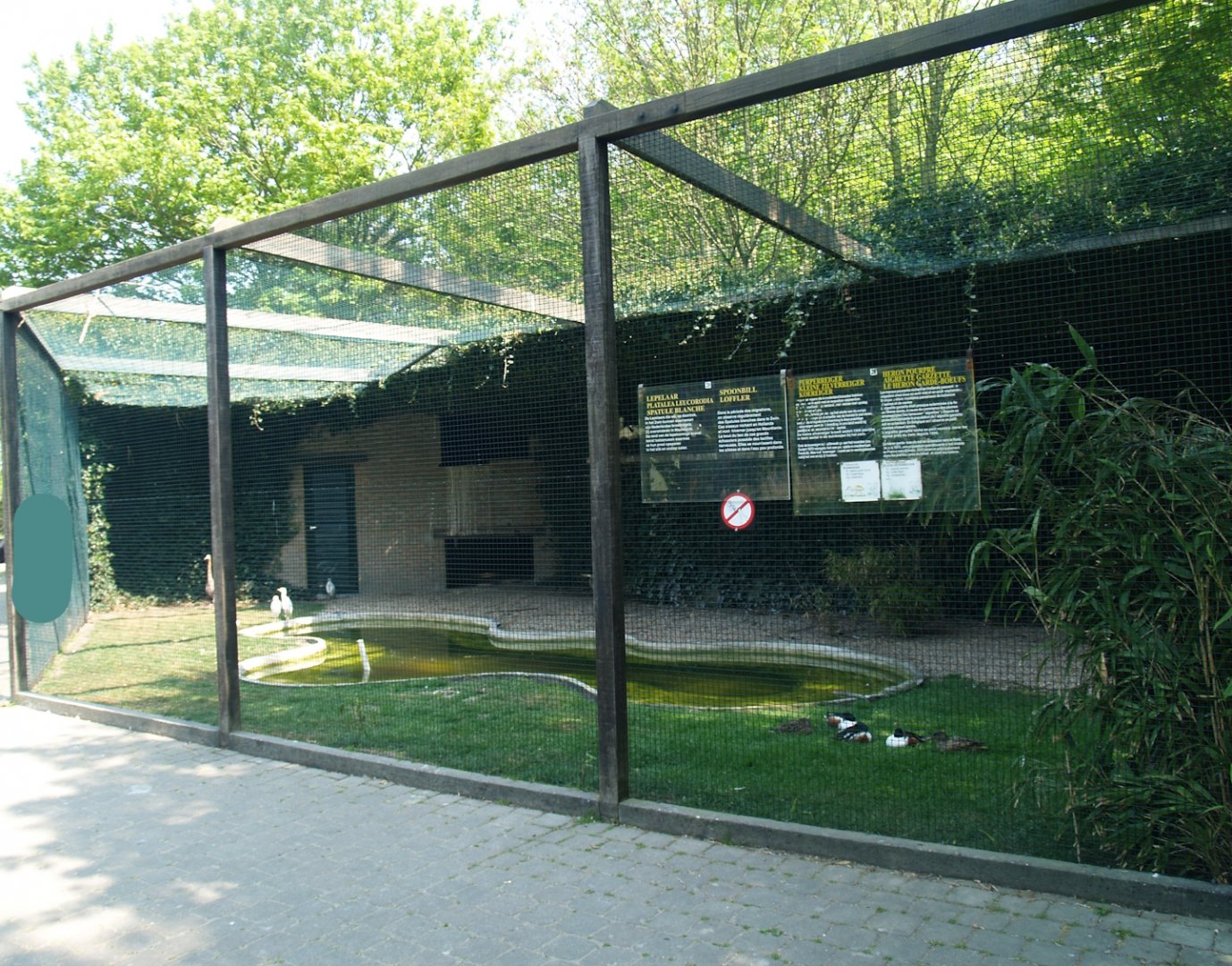 Zwin Bird Park (Now closed and demolished) - Eurasian spoonbill, Purple heron, Cattle egret and Shoveler aviary, 2007-04-22