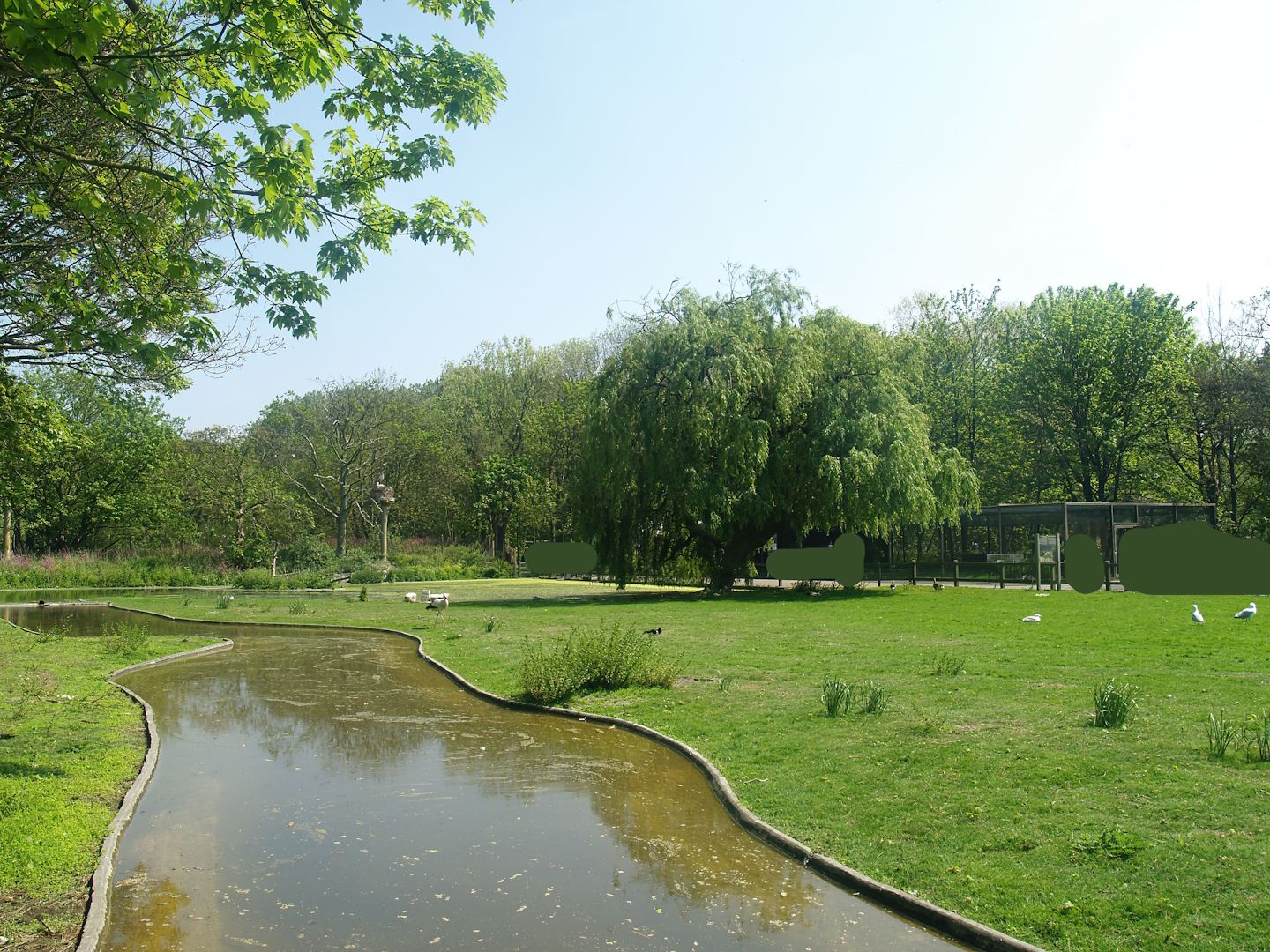 Zwin Bird Park (Now closed and demolished) - European white stork meadow, 2007-04-22