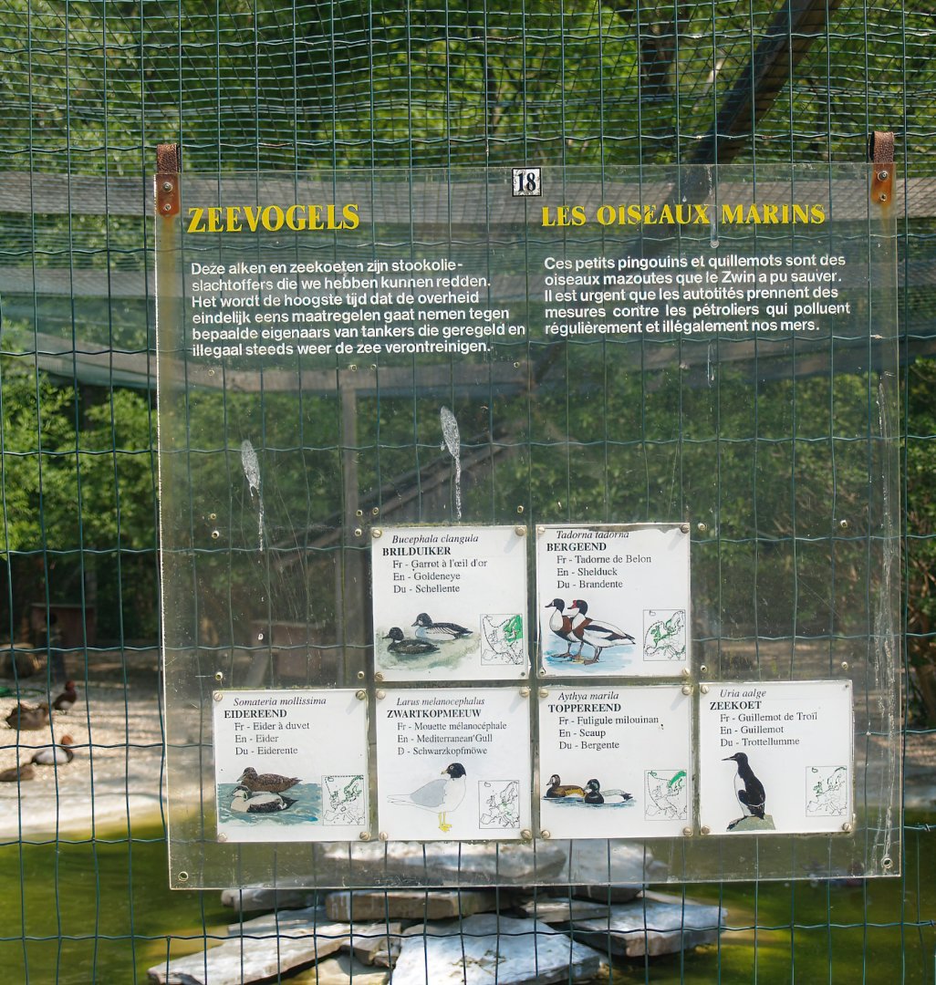 Zwin Bird Park (Now closed and demolished) - Example of signage for ducks and seabirds, 2007-04-22