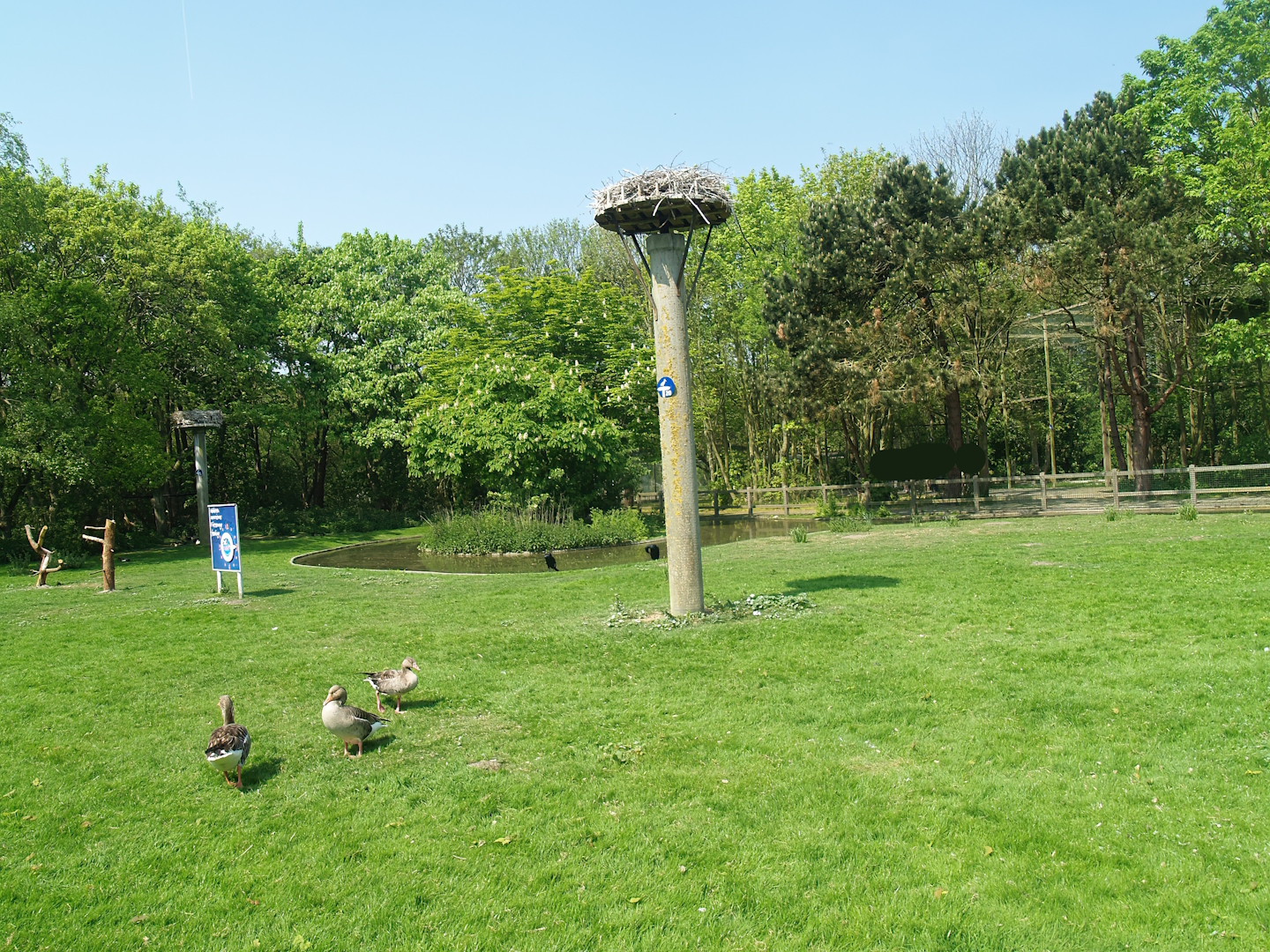 Zwin Bird Park (Now closed and demolished) - Greater cormorant and goose exhibit, 2007-04-22