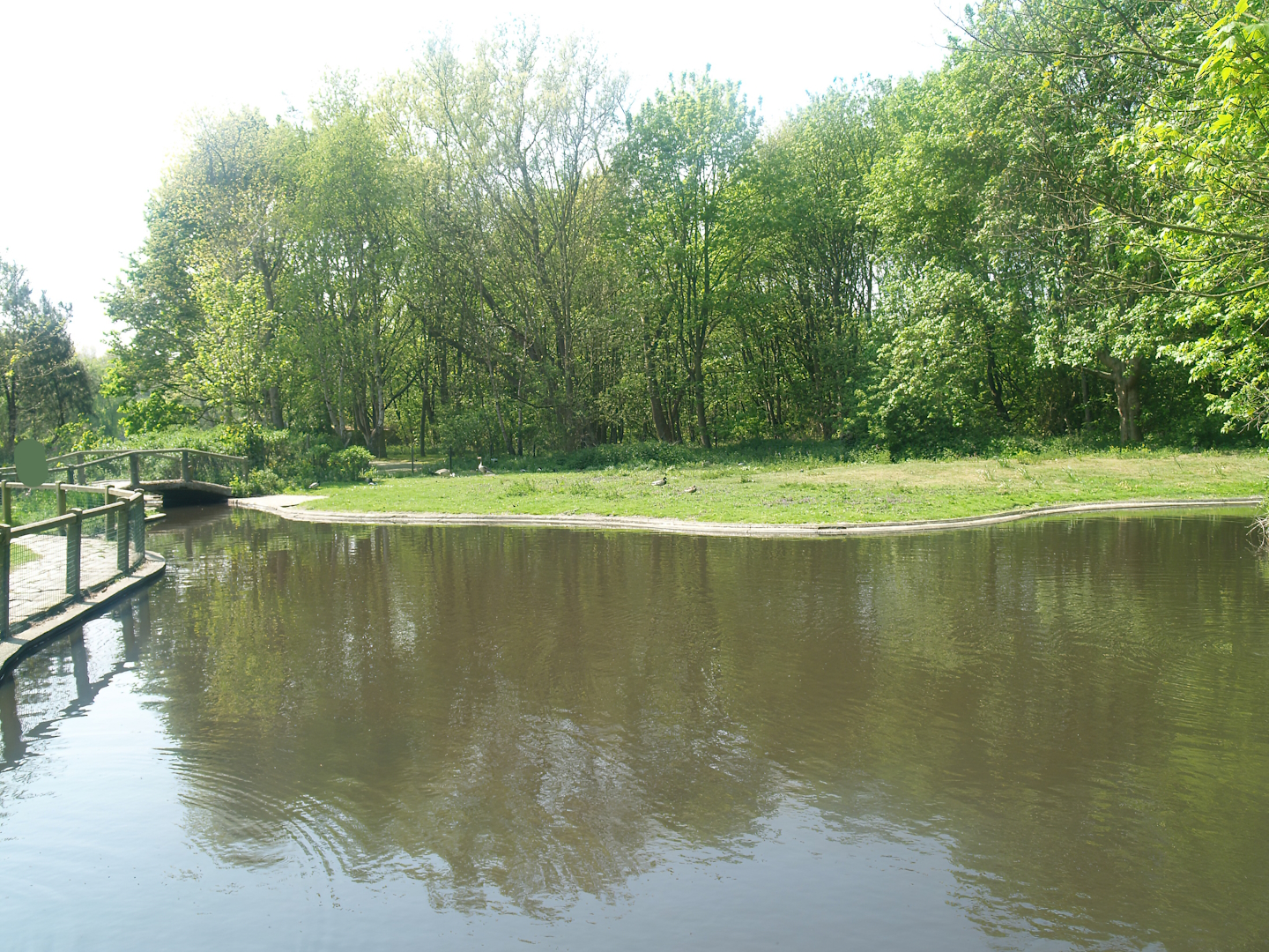 Zwin Bird Park (Now closed and demolished) - Greater cormorant and goose exhibit, 2007-04-22