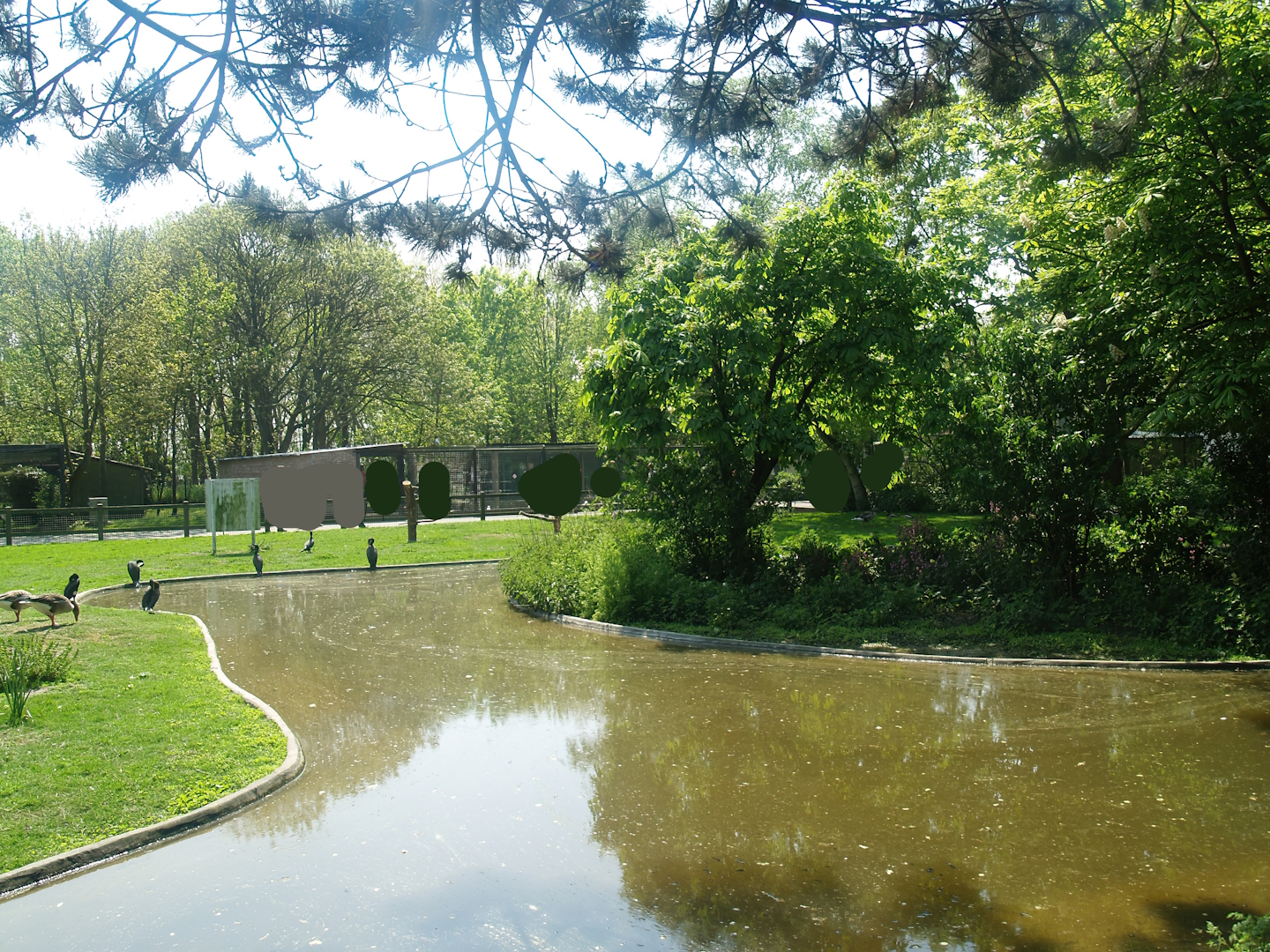 Zwin Bird Park (Now closed and demolished) - Greater cormorant and goose exhibit, 2007-04-22