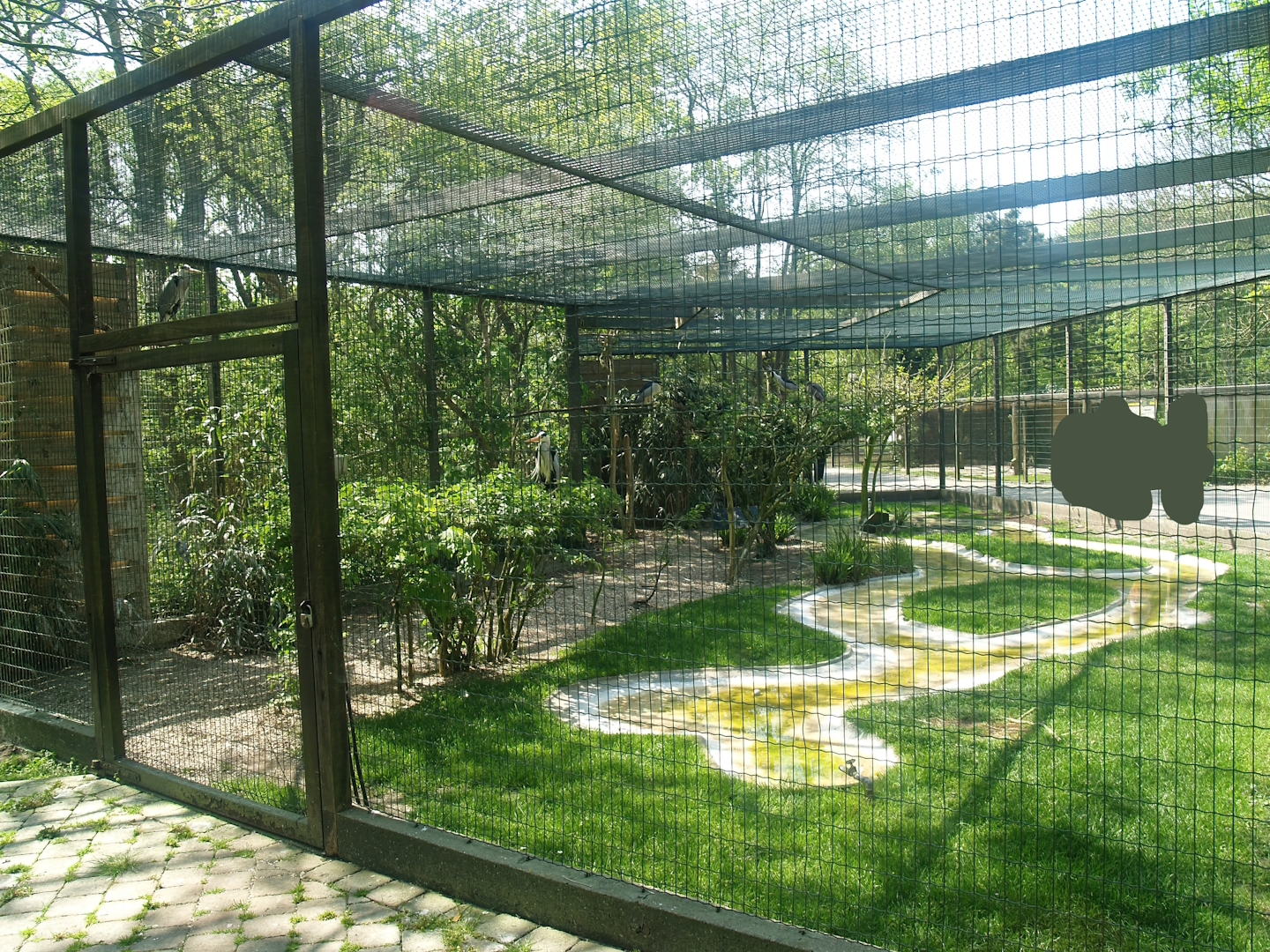 Zwin Bird Park (Now closed and demolished) - Grey heron aviary, 2007-04-22