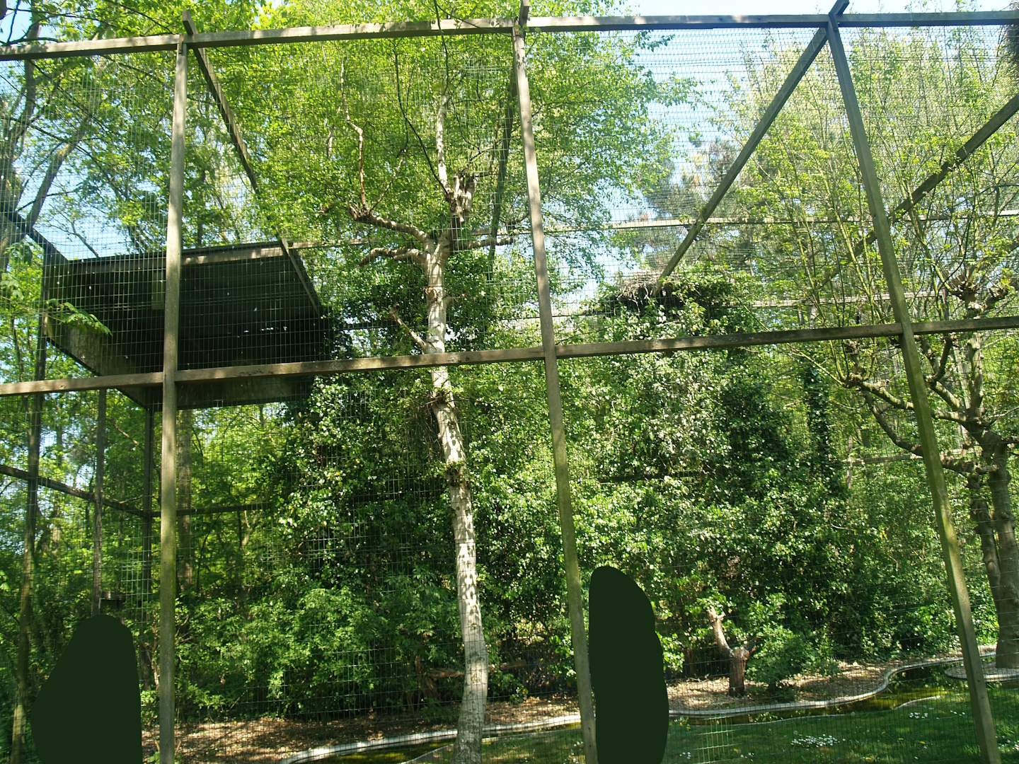 Zwin Bird Park (Now closed and demolished) - Large raptor aviary, 2007-04-22