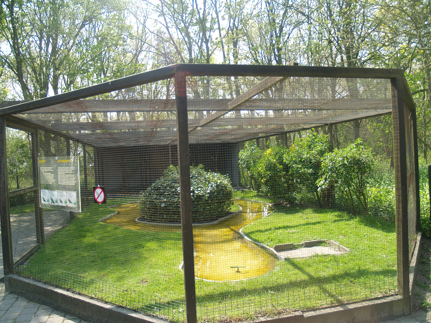 Zwin Bird Park (Now closed and demolished) - Pigeon aviary, 2007-04-22