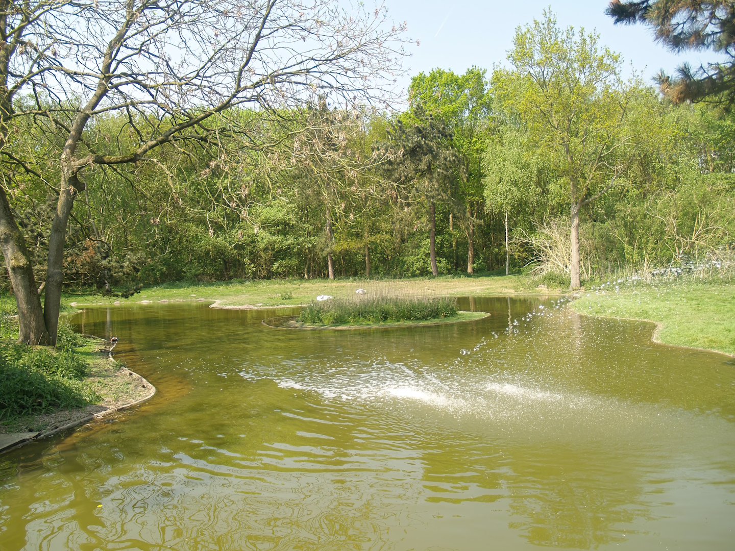 Zwin Bird Park (Now closed and demolished) - Second swan exhibit, 2007-04-22