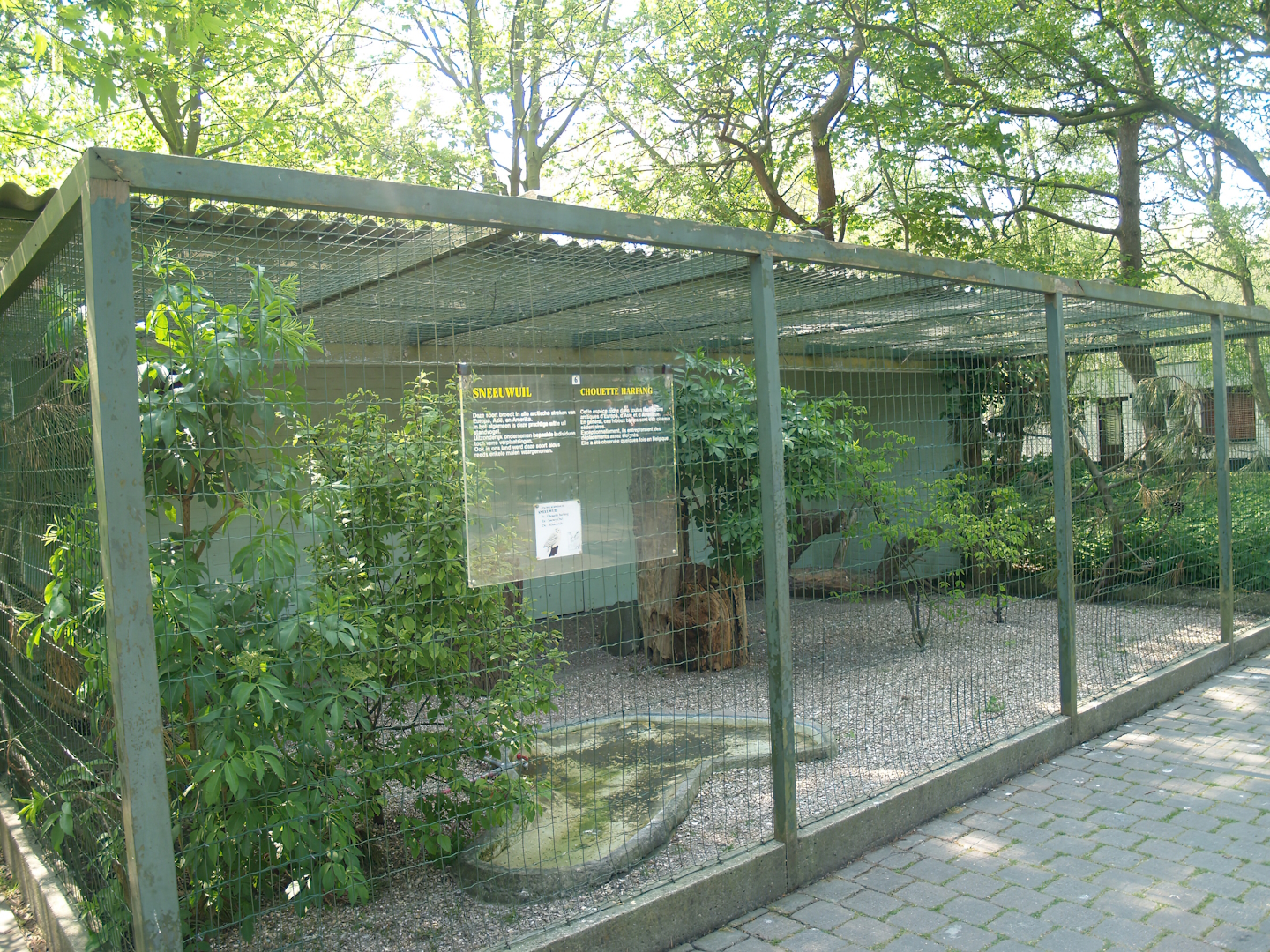Zwin Bird Park (Now closed and demolished) - Snowy owl aviary, 2007-04-22