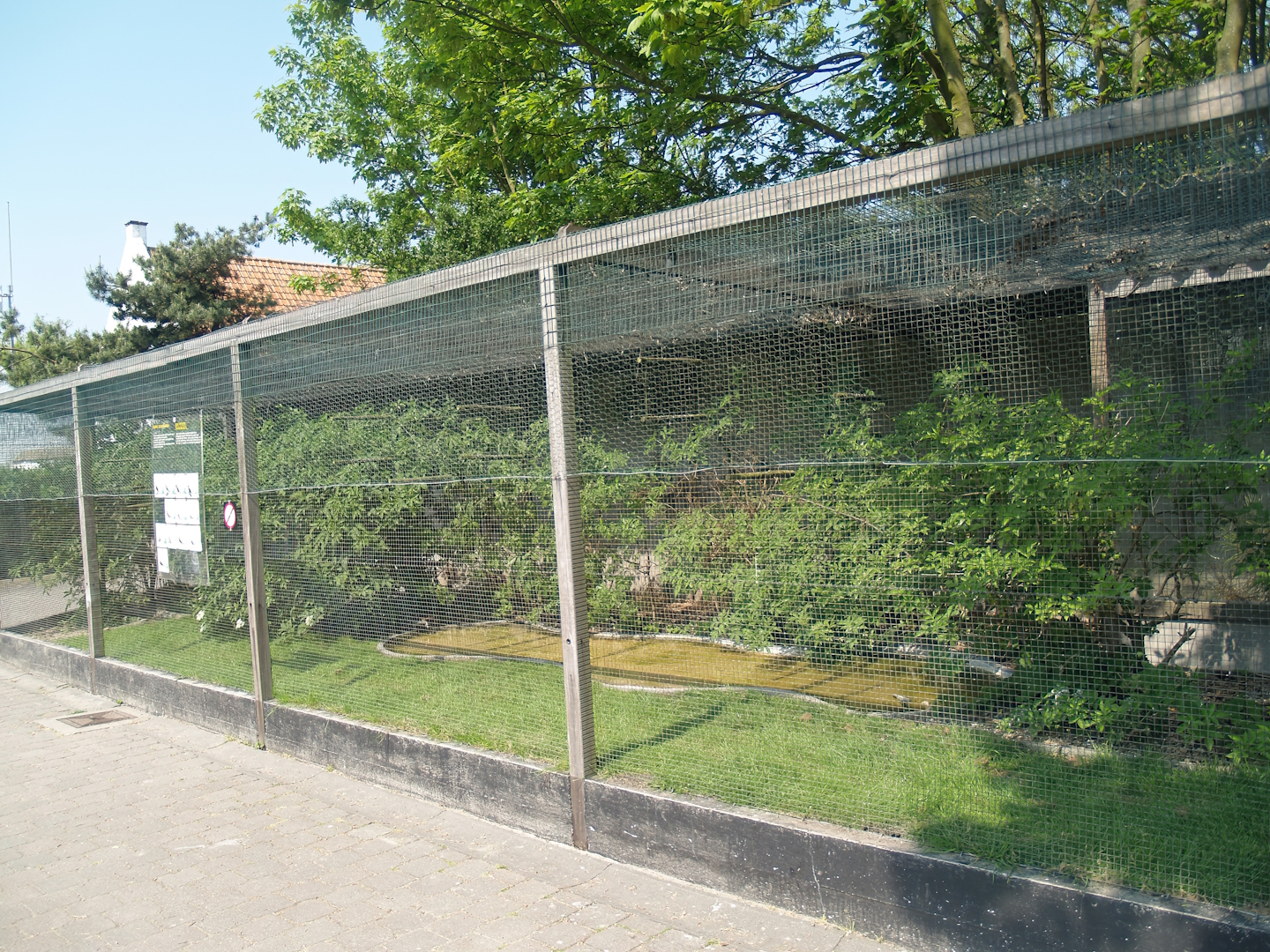 Zwin Bird Park (Now closed and demolished) - Songbird aviary, 2007-04-22