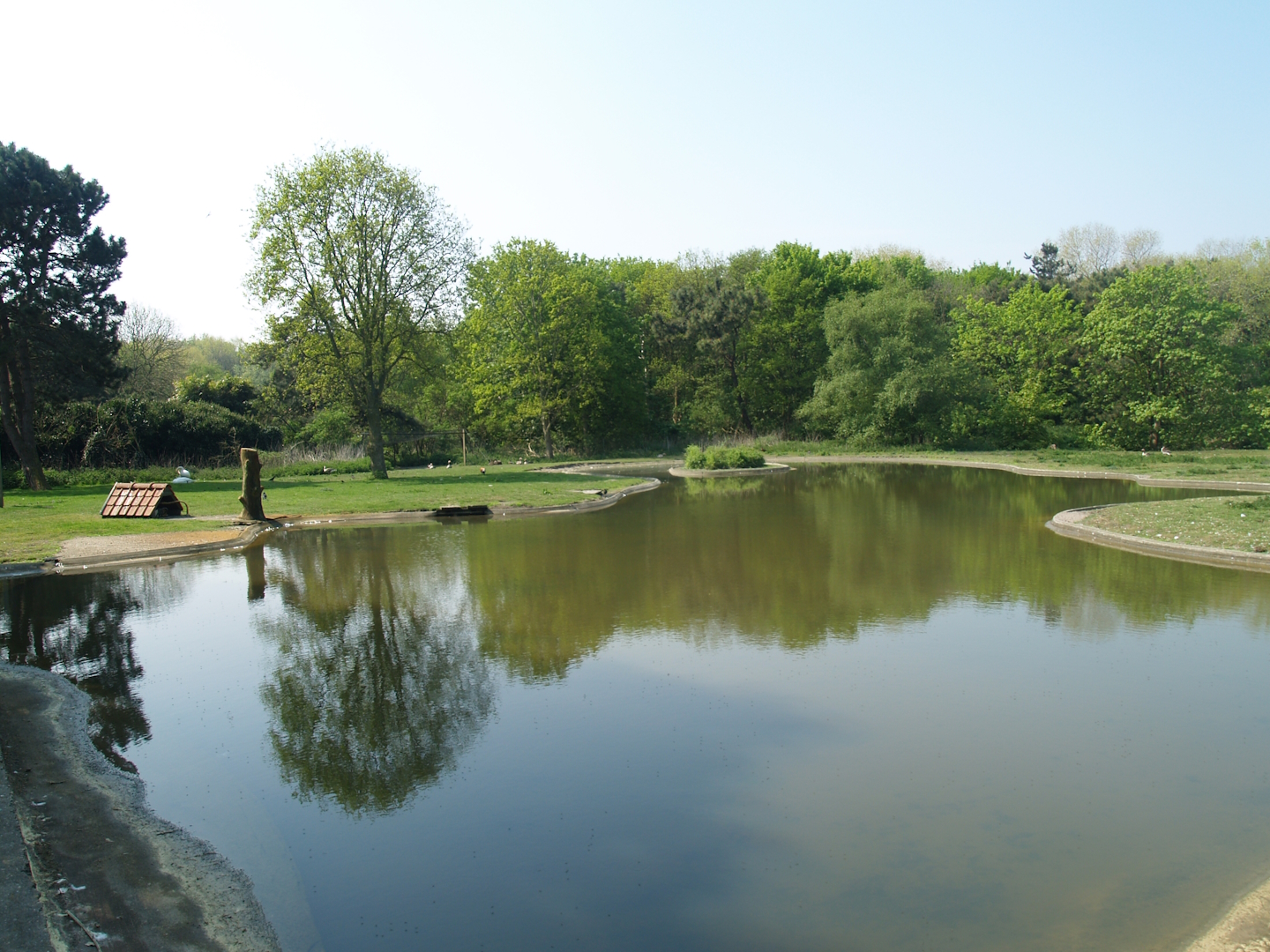 Zwin Bird Park (Now closed and demolished) - Swan and goose exhibit, 2007-04-22