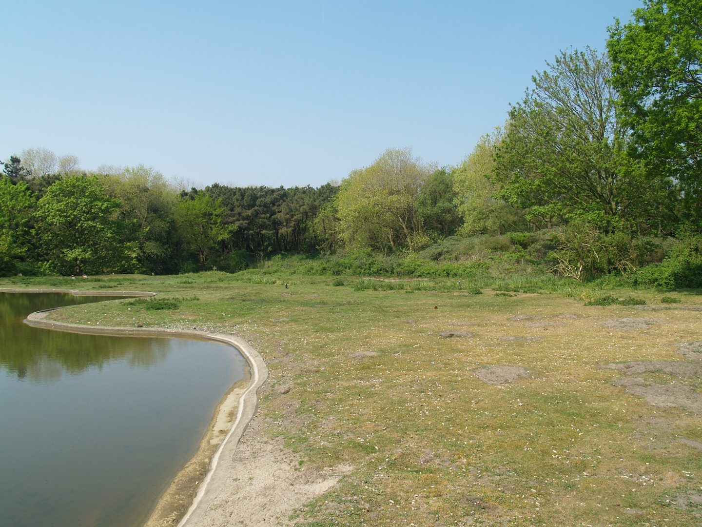 Zwin Bird Park (Now closed and demolished) - Swan and goose exhibit, 2007-04-22