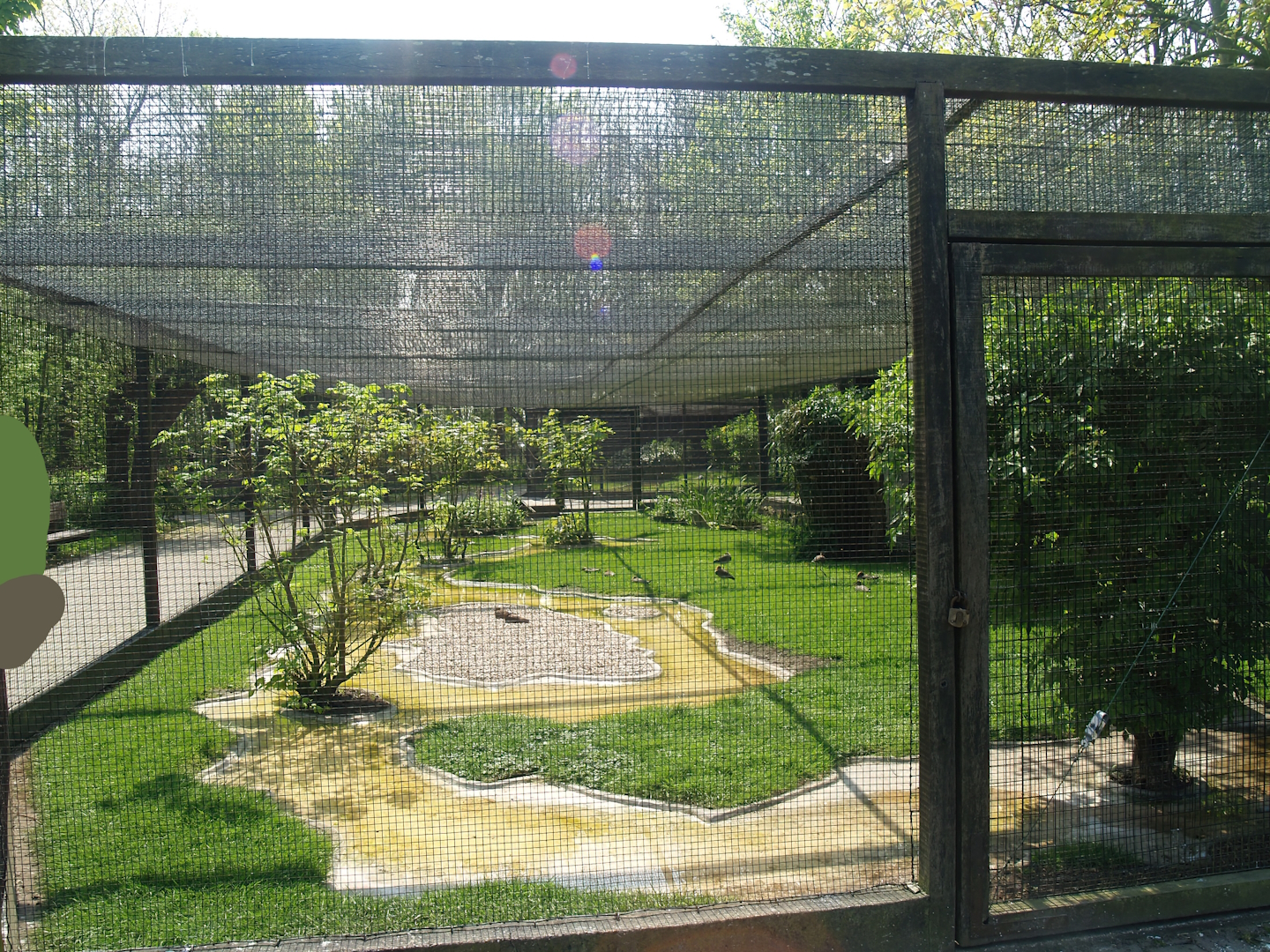 Zwin Bird Park (Now closed and demolished) - Wader aviary, 2007-04-22