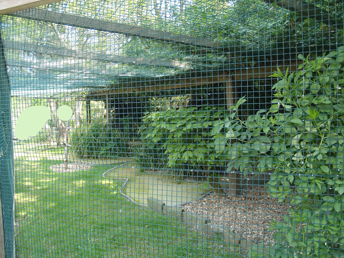 Zwin Bird Park (Now closed and demolished) - Wading bird aviary, 2007-04-22
