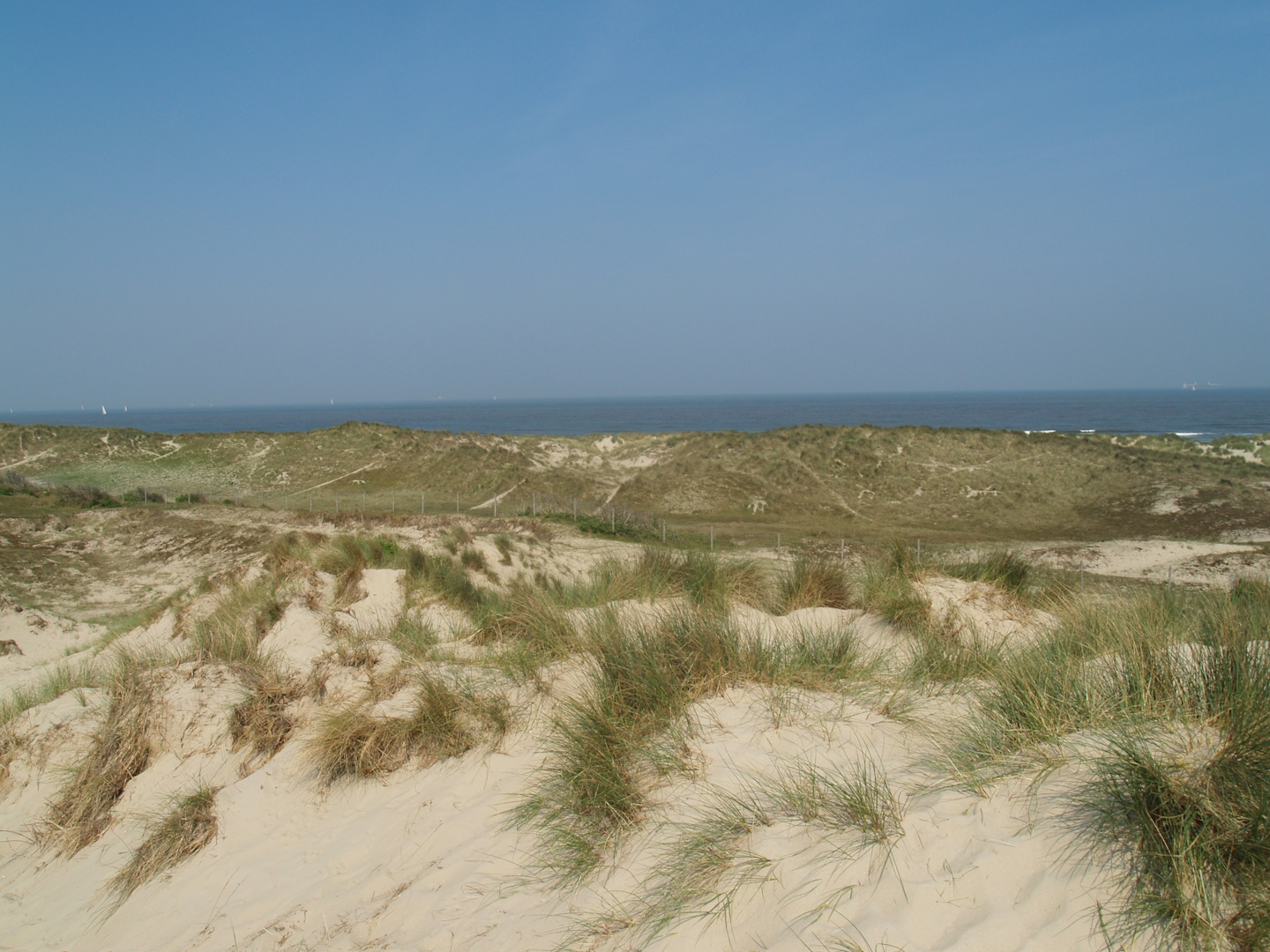 Zwin Nature Reserve - Dune area, 2007-04-22