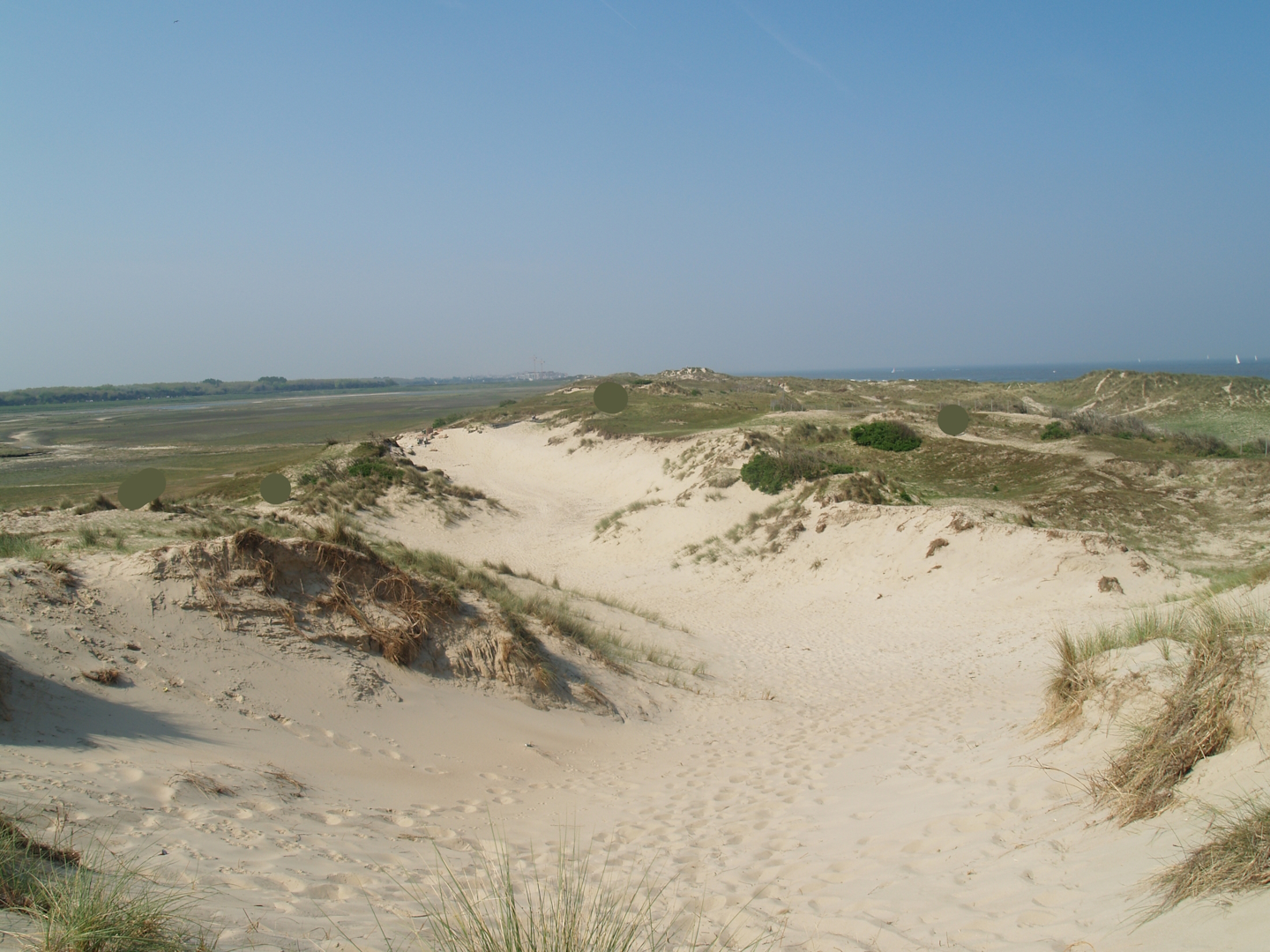 Zwin Nature Reserve - Dune area, 2007-04-22