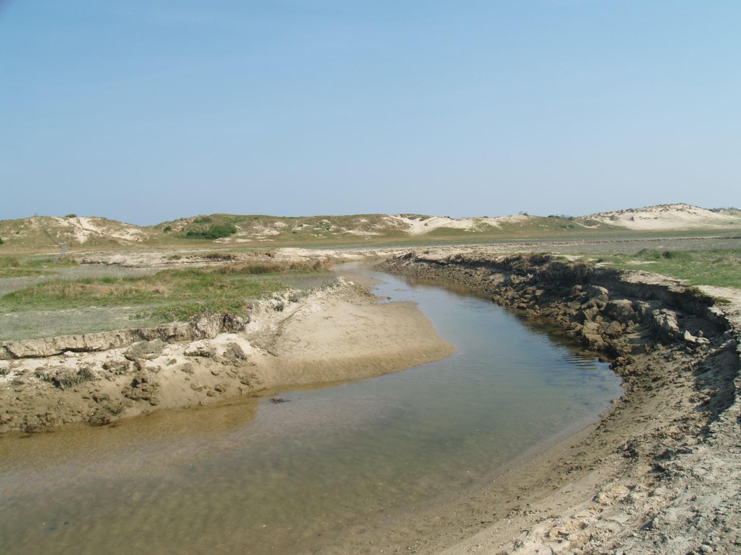 Zwin Nature Reserve - Salt water creek in Zwin plains, 2007-04-22
