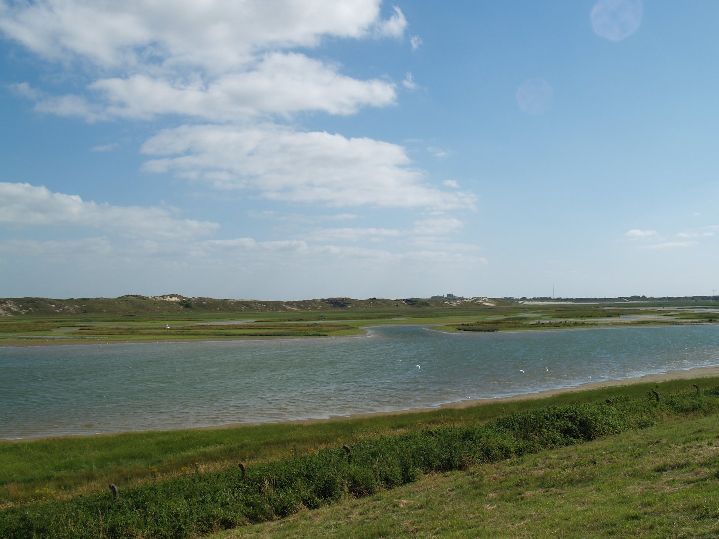 Zwin Nature Reserve - Zwin plains, 2006-07-14
