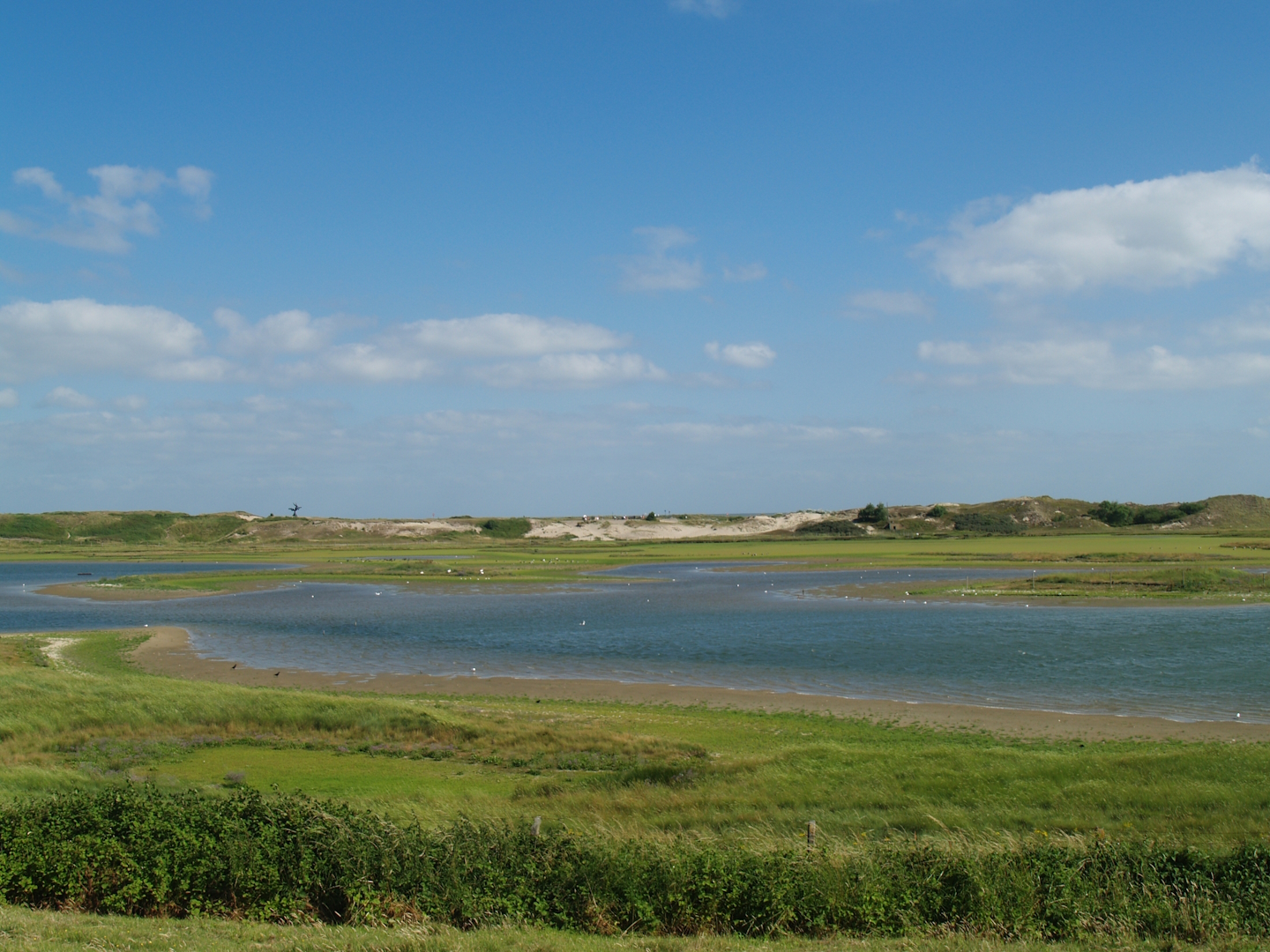 Zwin Nature Reserve - Zwin plains, 2006-07-14