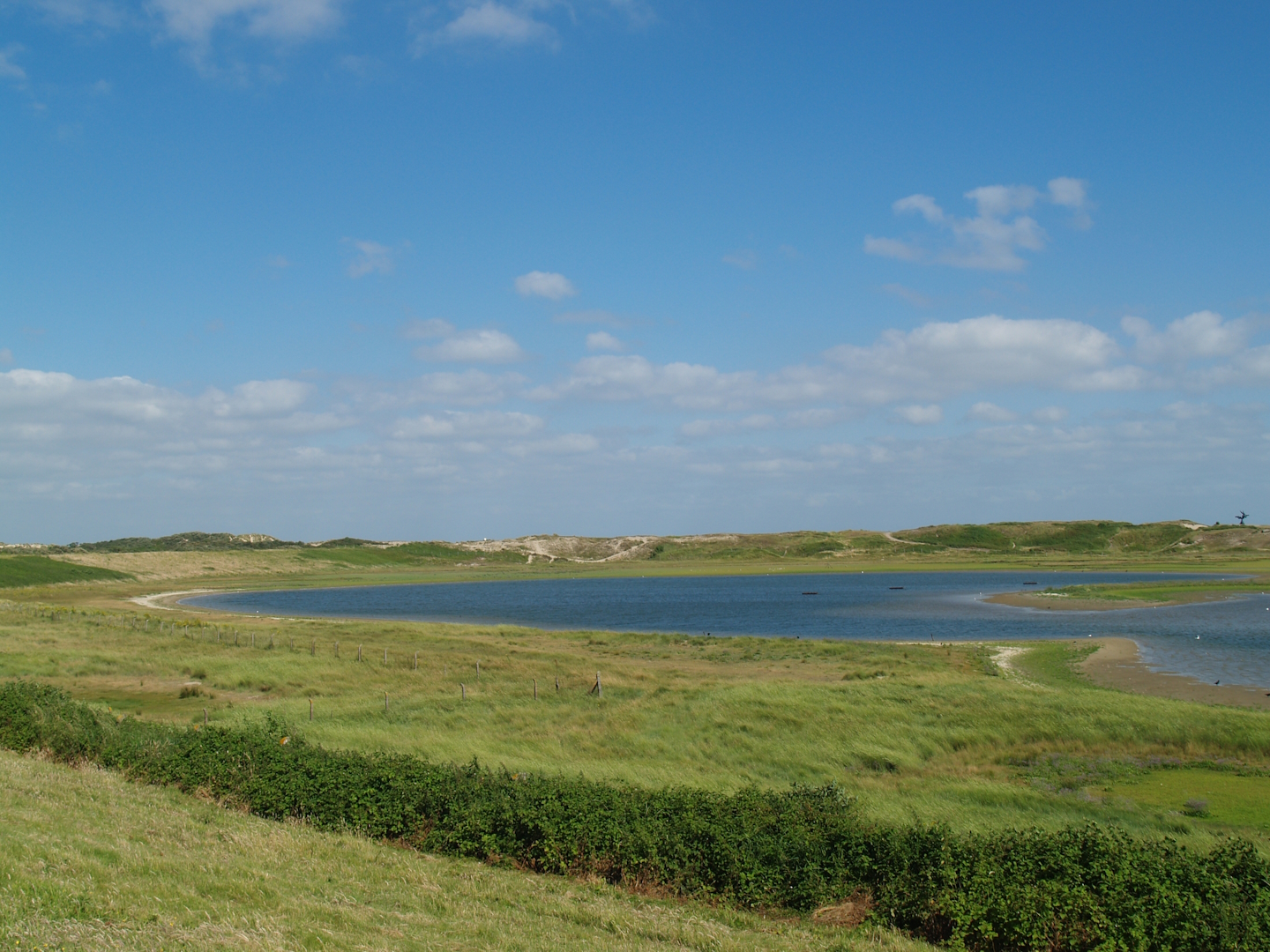 Zwin Nature Reserve - Zwin plains, 2006-07-14