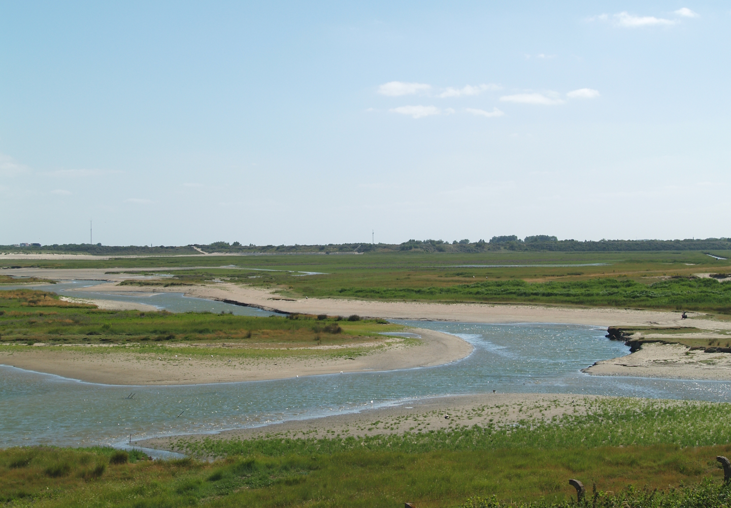 Zwin Nature Reserve - Zwin plains, 2006-07-14