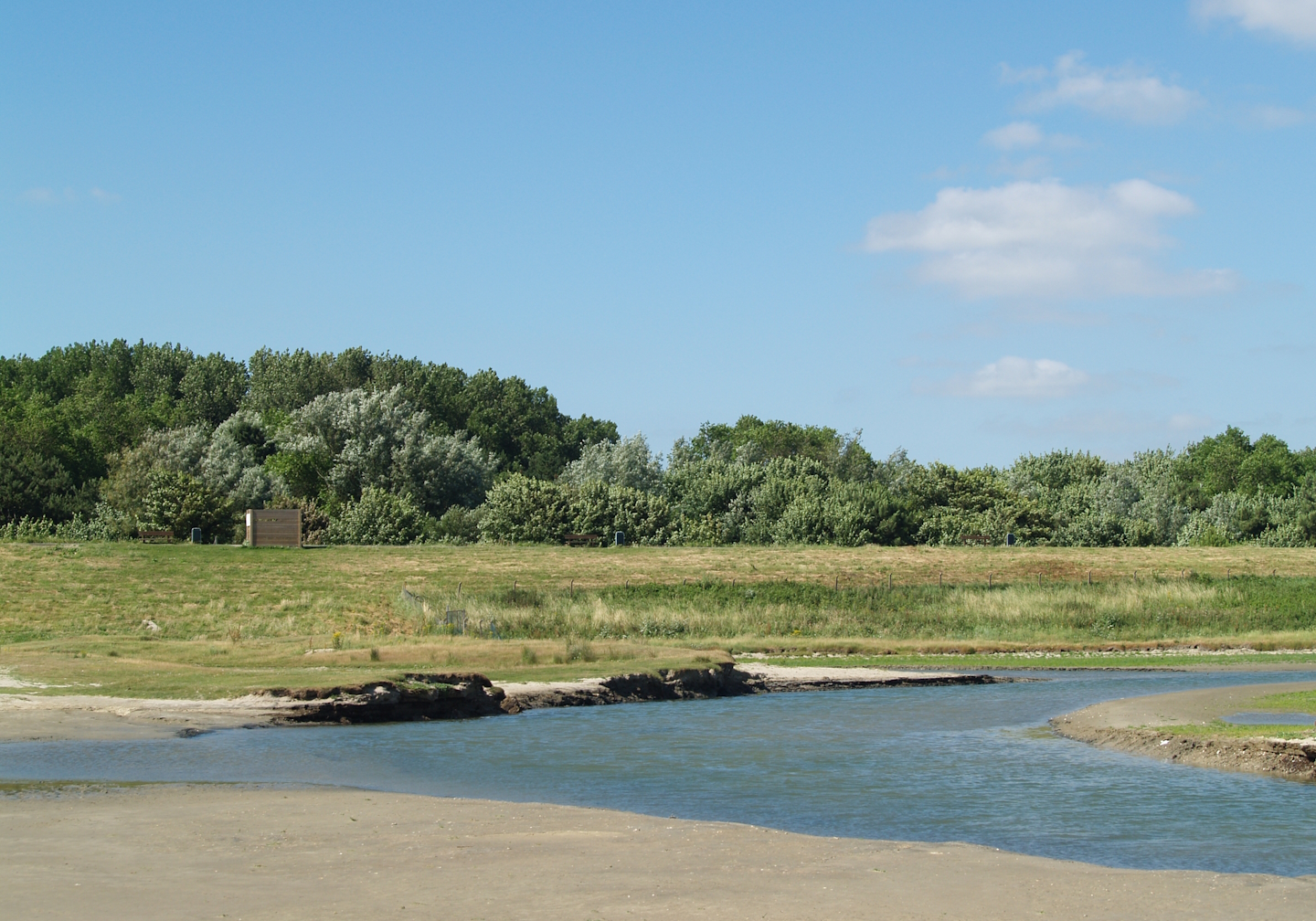 Zwin Nature Reserve - Zwin plains, 2006-07-14