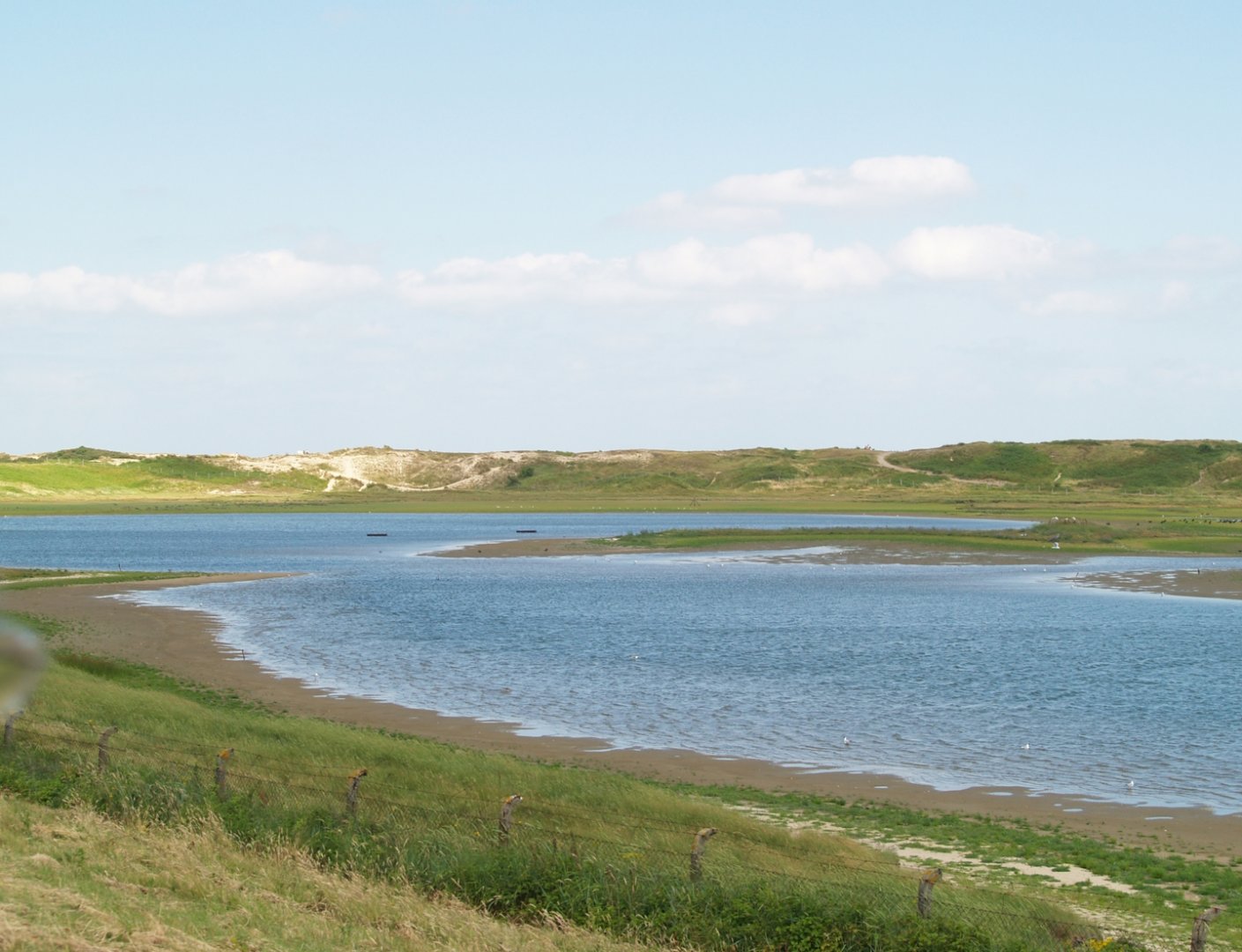 Zwin Nature Reserve - Zwin Plains, 2006-07-14