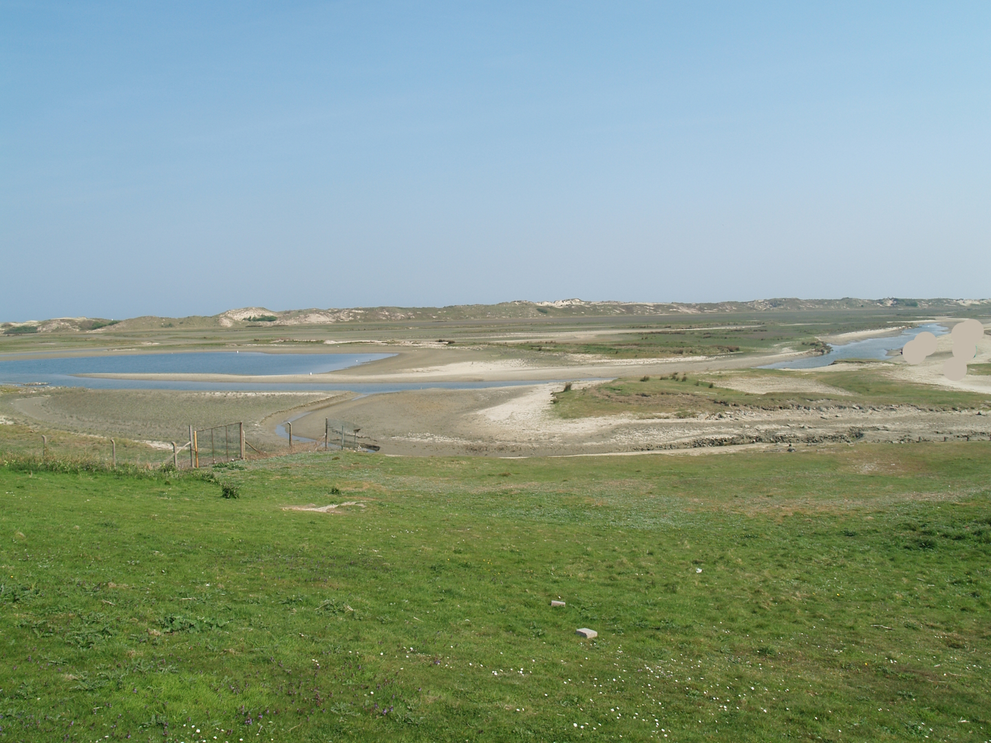 Zwin Nature Reserve - Zwin plains, 2007-04-22