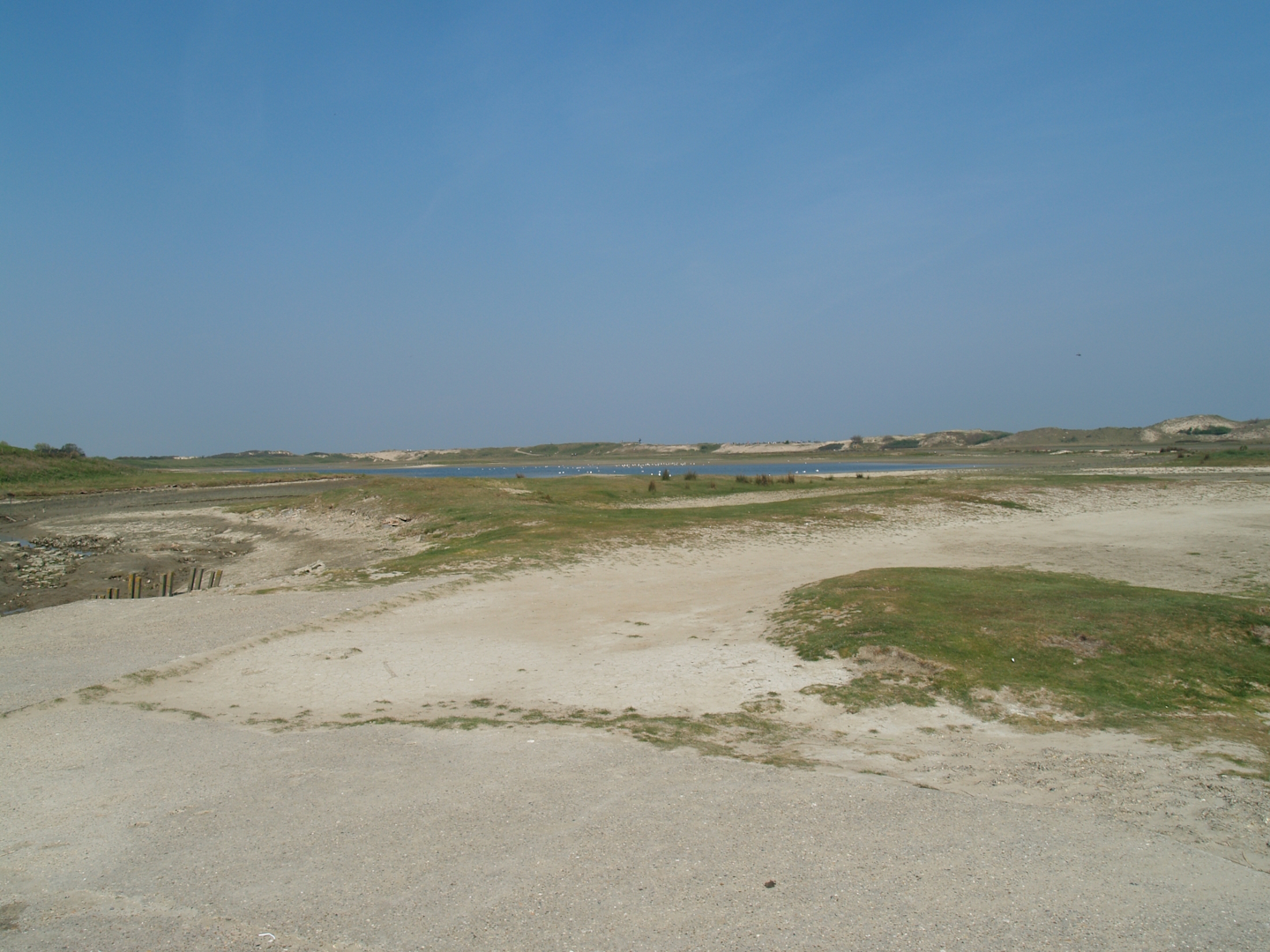 Zwin Nature Reserve - Zwin plains, 2007-04-22