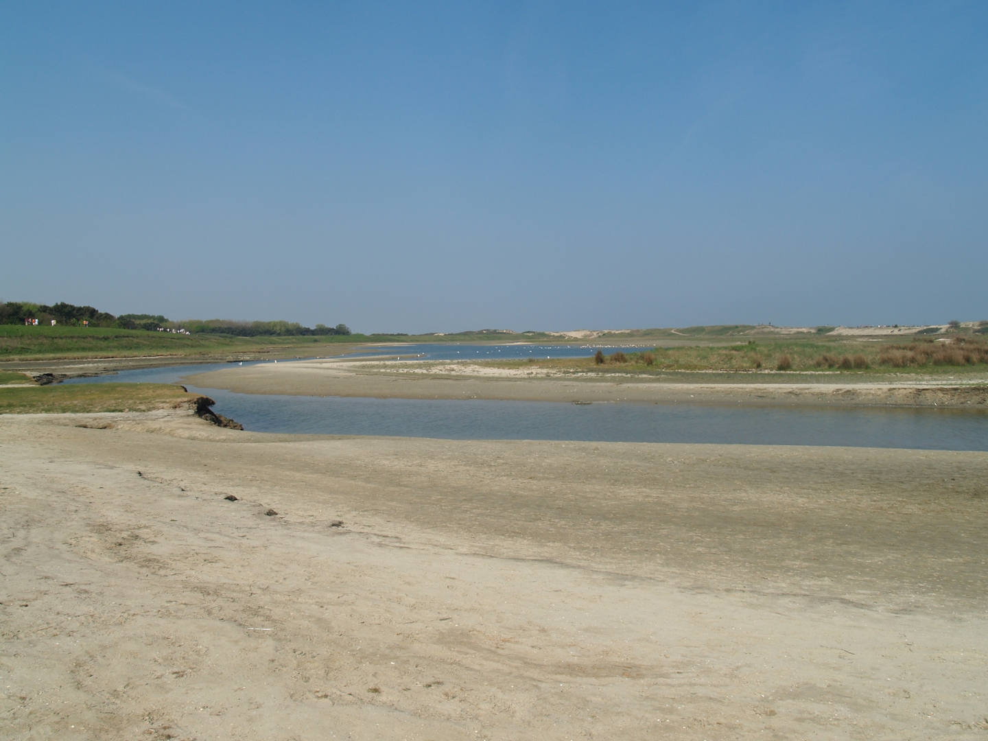 Zwin Nature Reserve - Zwin plains, 2007-04-22
