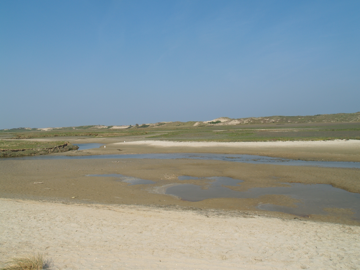 Zwin Nature Reserve - Zwin plains, 2007-04-22