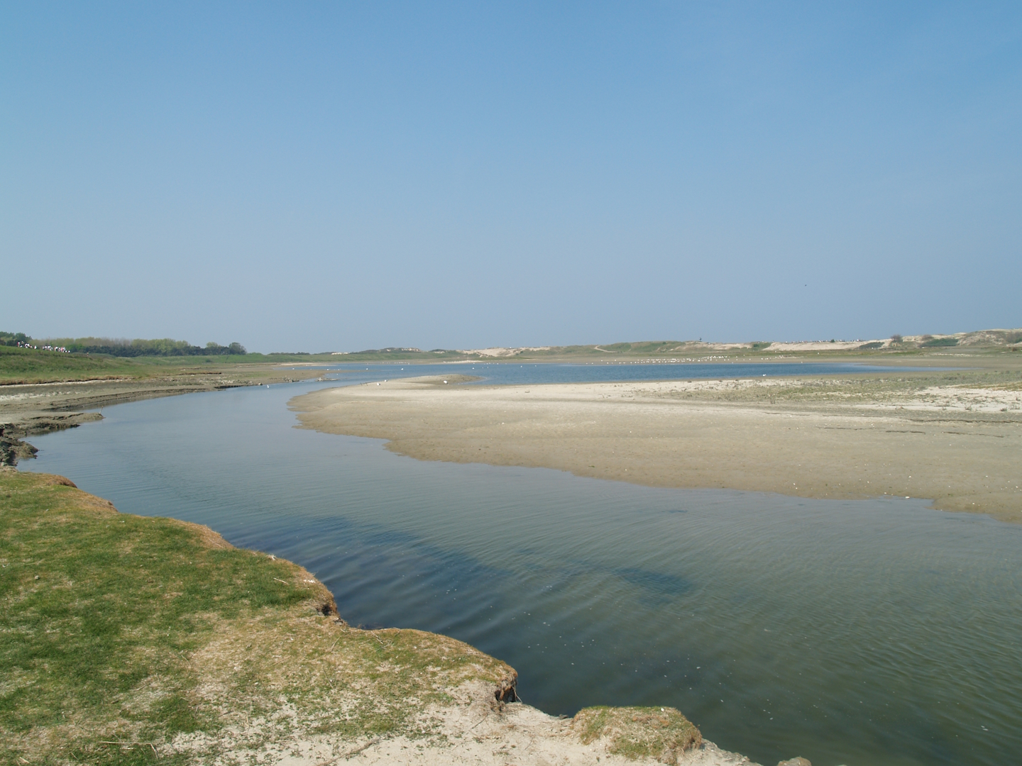 Zwin Nature Reserve - Zwin plains, 2007-04-22