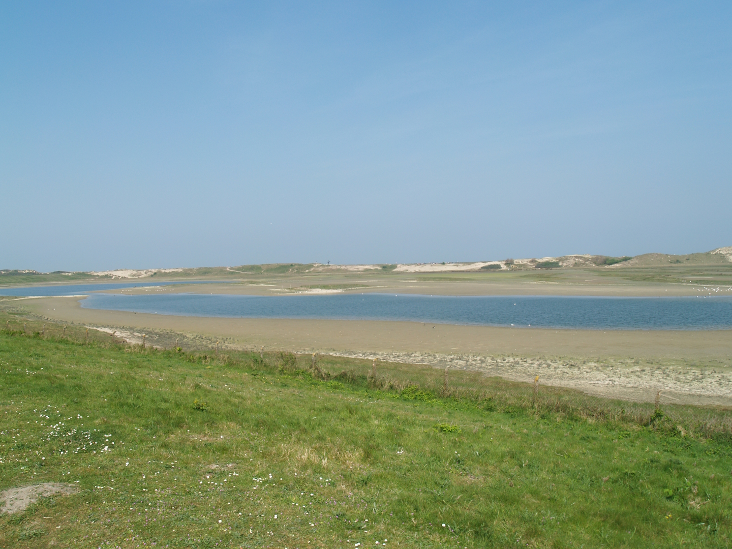 Zwin Nature Reserve - Zwin plains, 2007-04-22