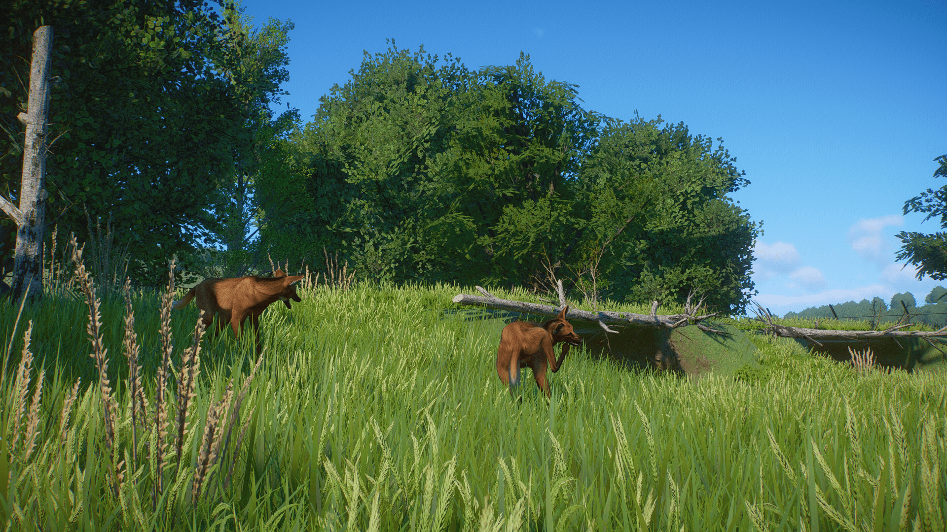 planet-zoo-screenshot-2023-01-14-14-02-04-12-png.341790