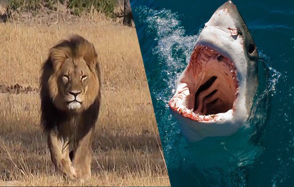 main-qimg-f97d2fca358570a536ded67e429997d1-lq