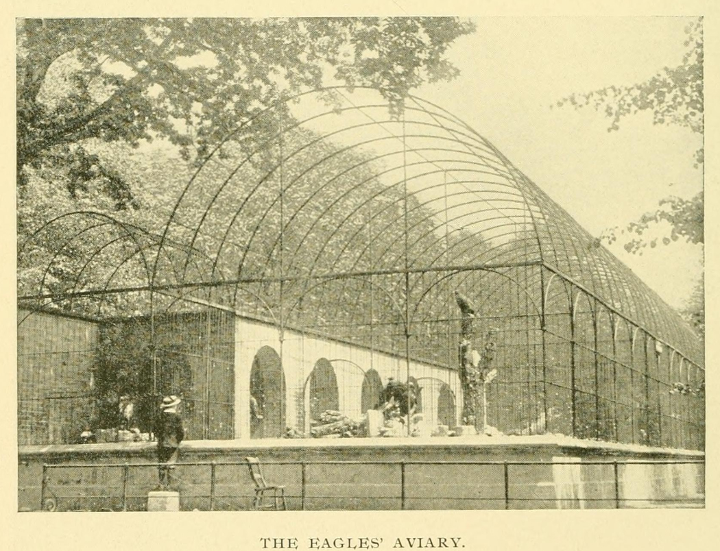 40-eagle-aviary-6-jpg.427088