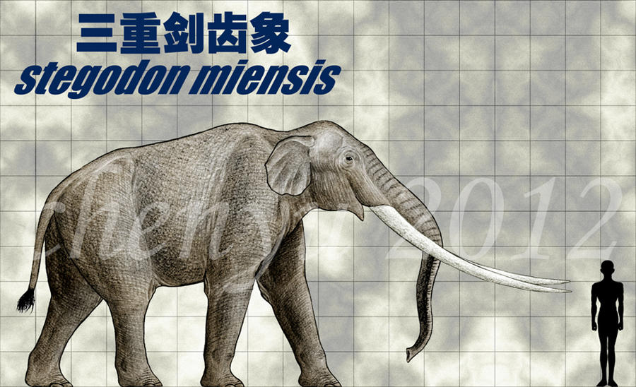 stegodon_miensis_by_sinammonite-d5gz2h8.jpg