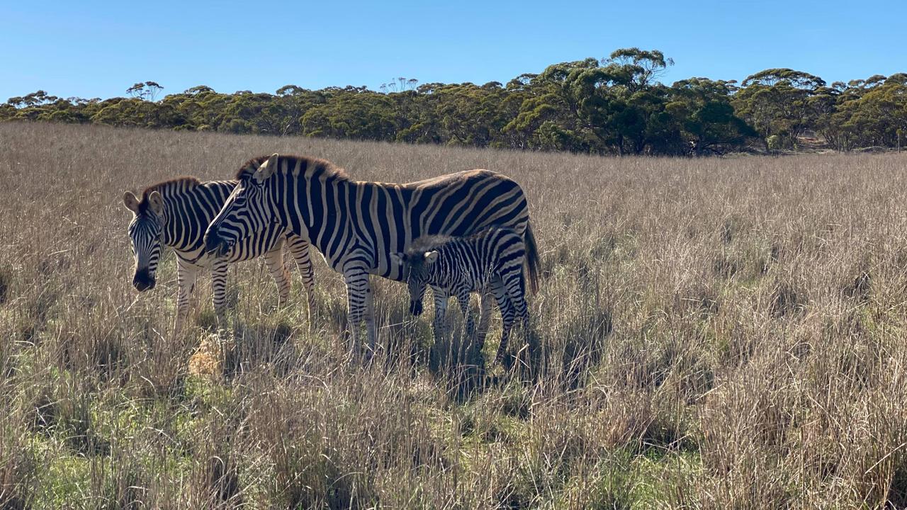 acc7bba869993a6e5102eb3944a5be26