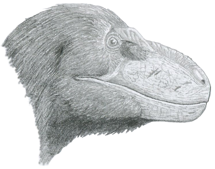 Nanuqsaurus.png