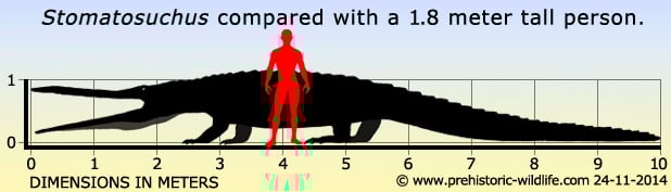 stomatosuchus-size.jpg