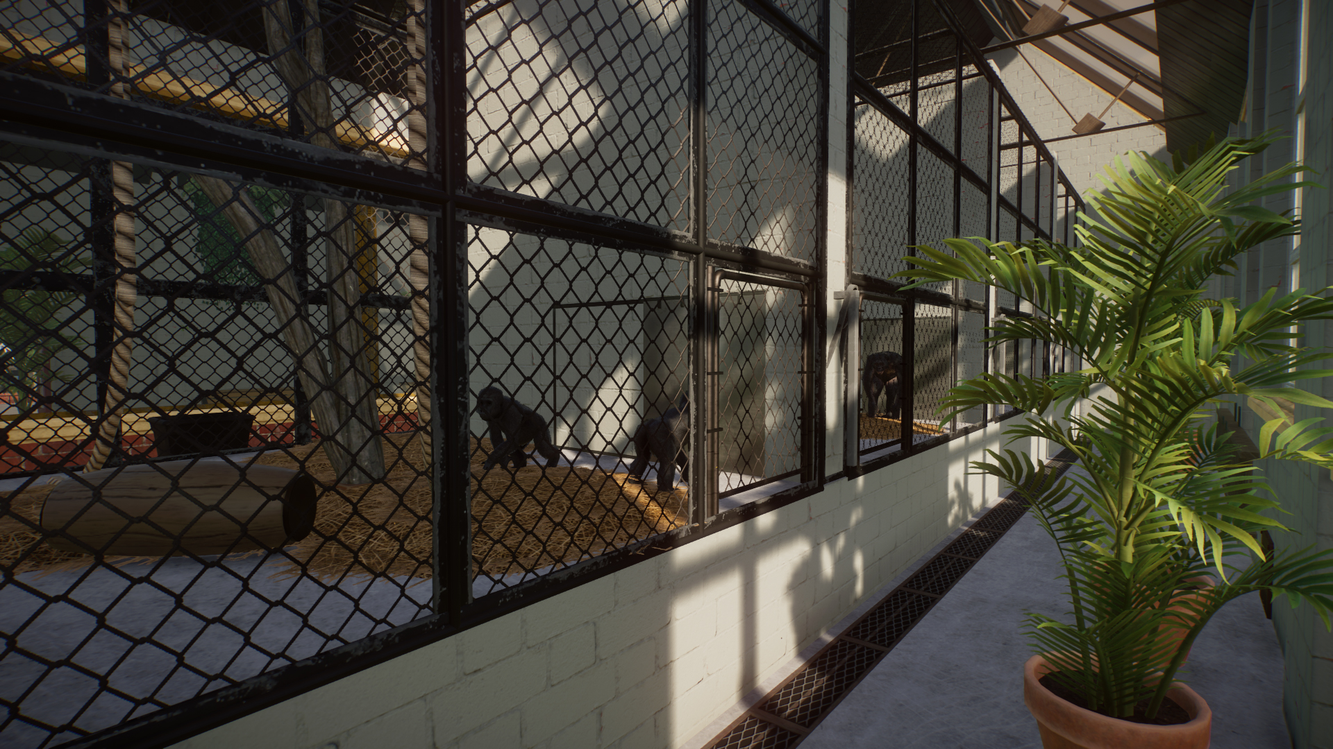 ape-house-6-jpg.358471